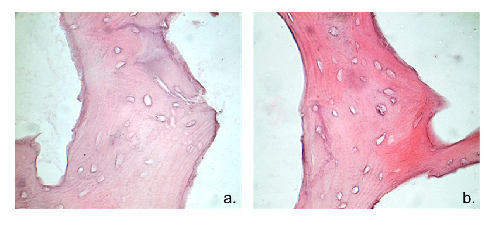 Genes 14 00851 g002 Genes 14 00851 g002