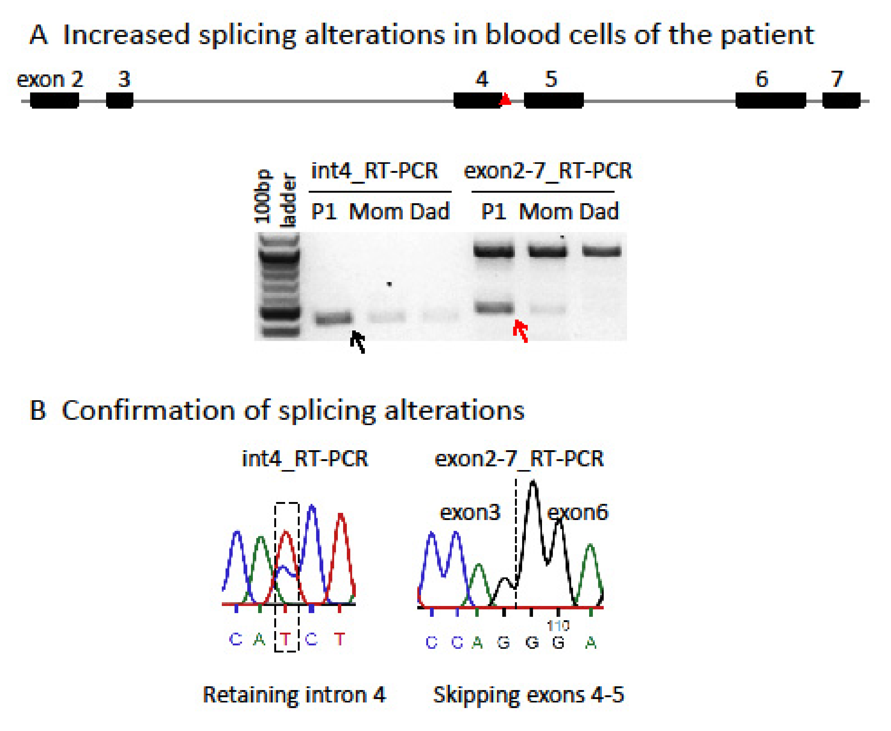 Genes 14 00852 g001 Genes 14 00852 g001