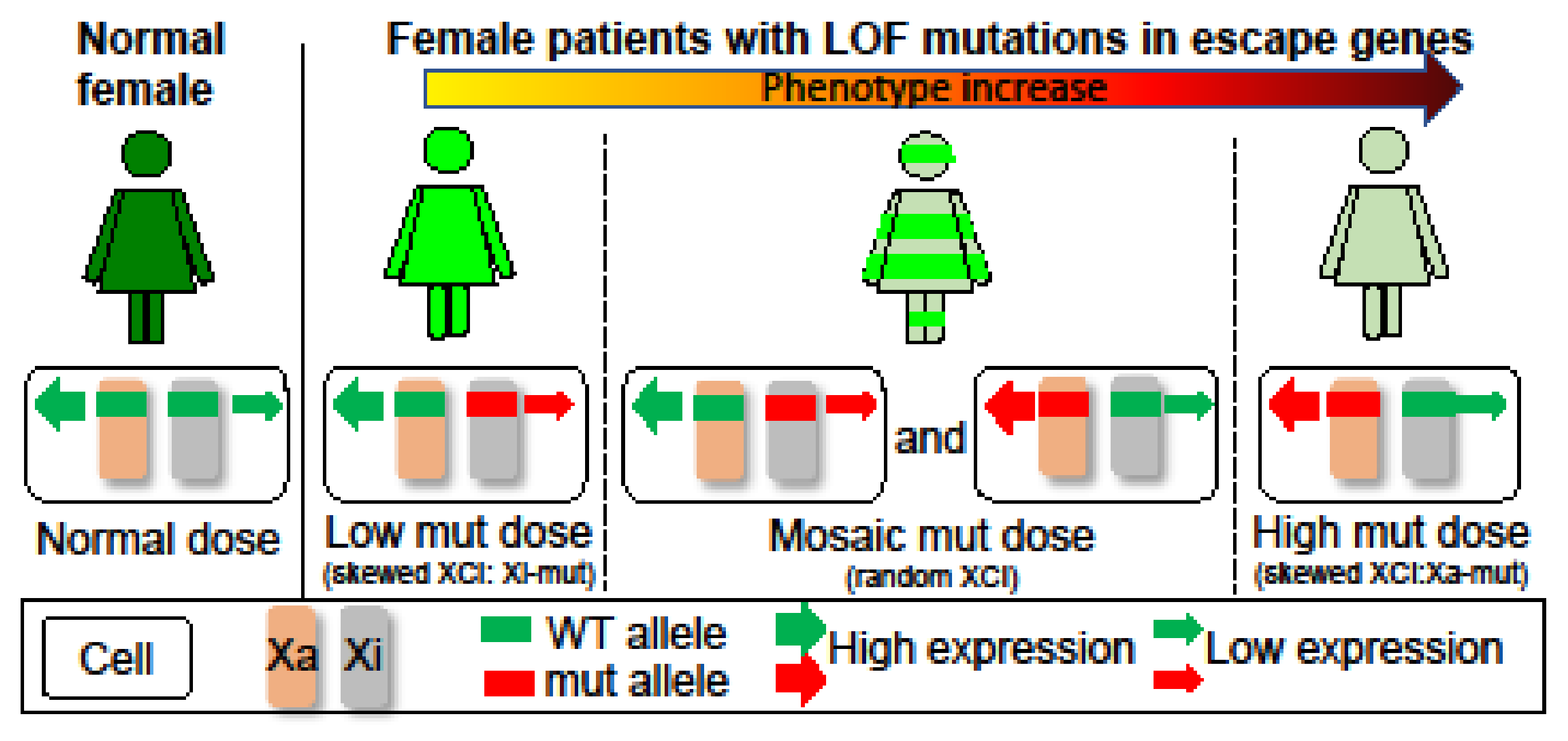 Genes 14 00852 g003 Genes 14 00852 g003
