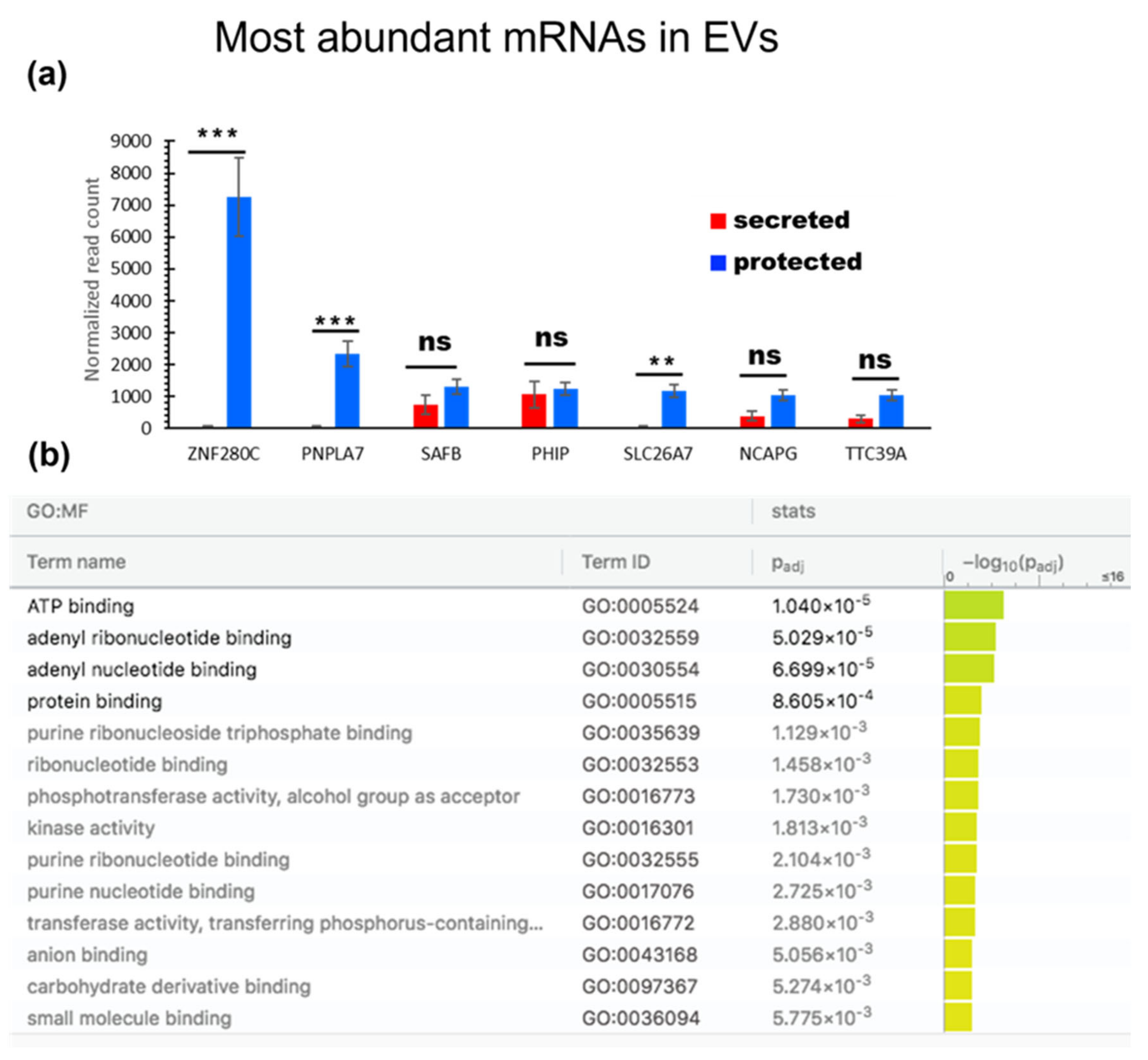 Genes 14 00853 g011