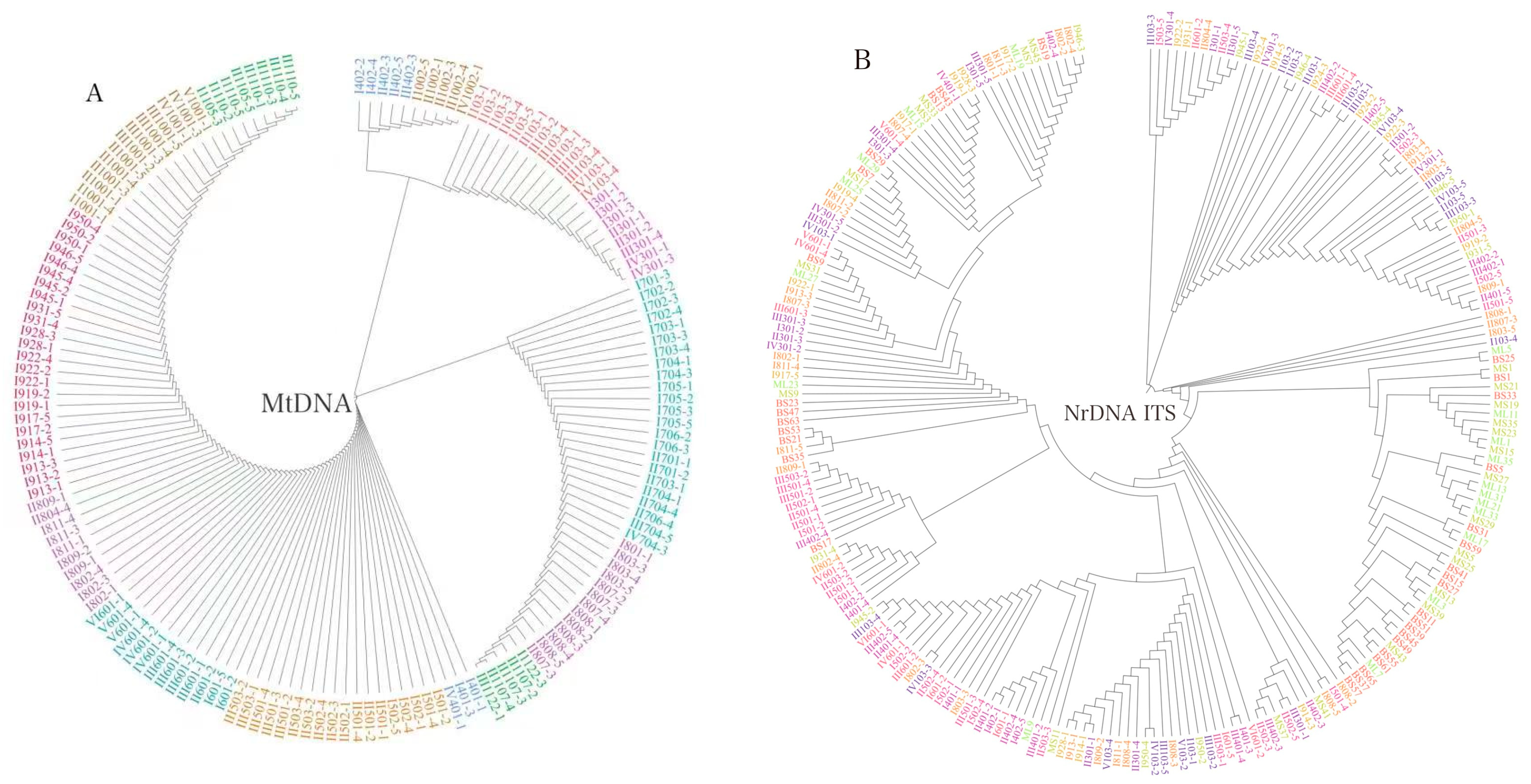 Genes 14 00855 g004