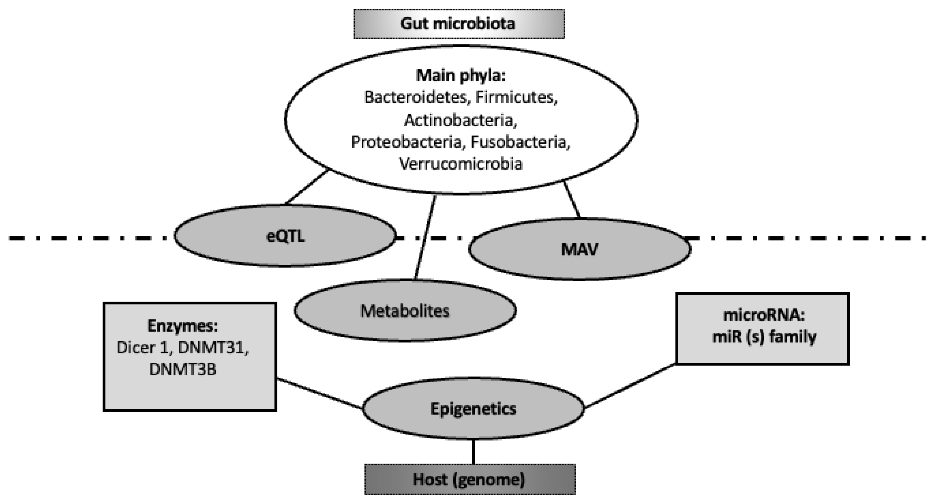 Genes 14 00857 g002 Genes 14 00857 g002