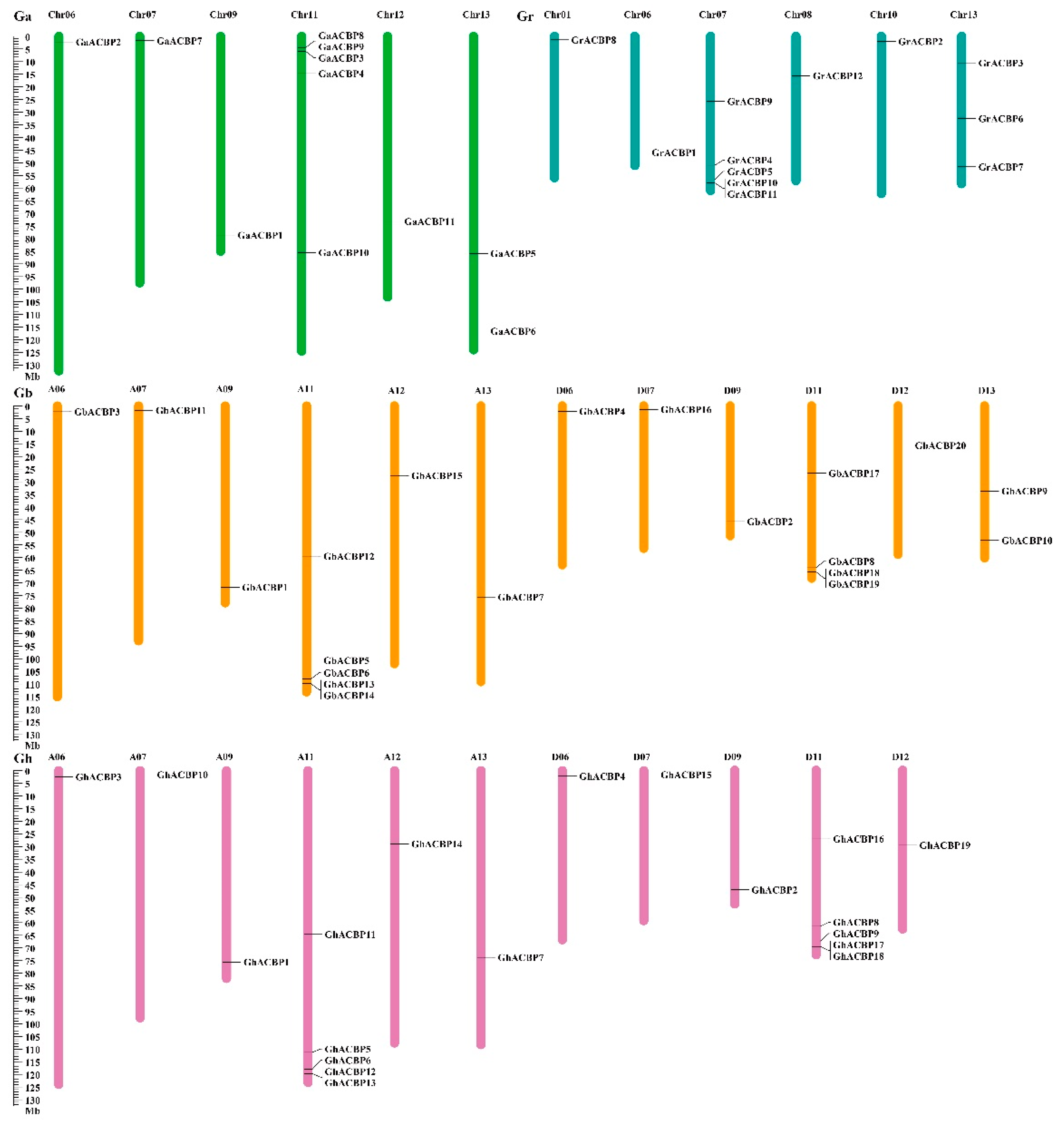 Genes 14 00859 g002 Genes 14 00859 g002