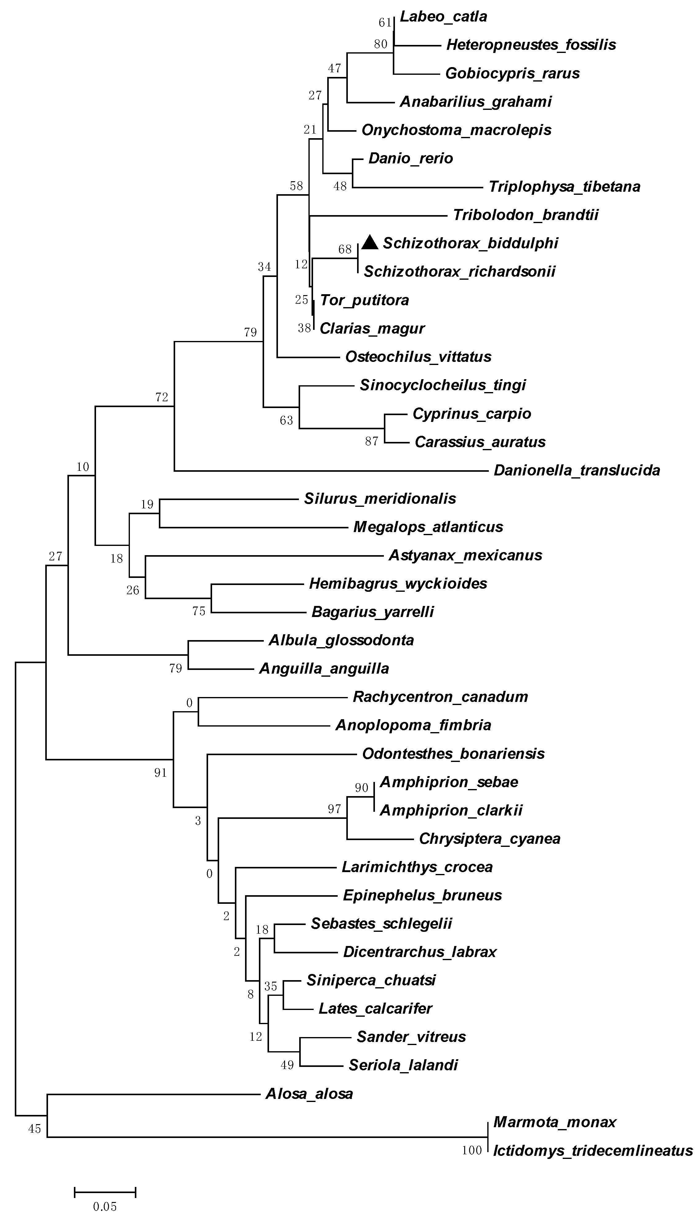 Genes 14 00862 g002 Genes 14 00862 g002