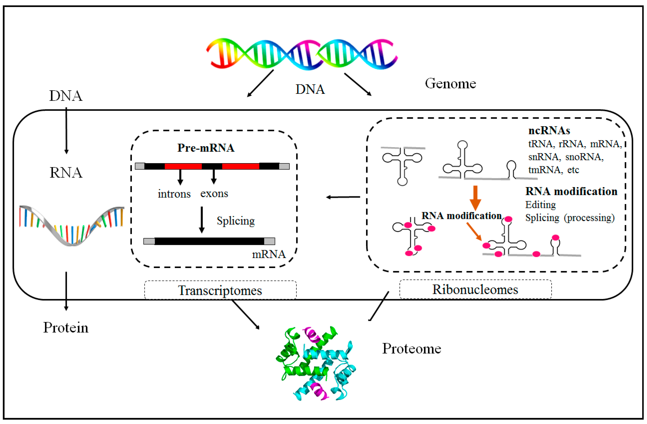 Genes 14 00873 g001