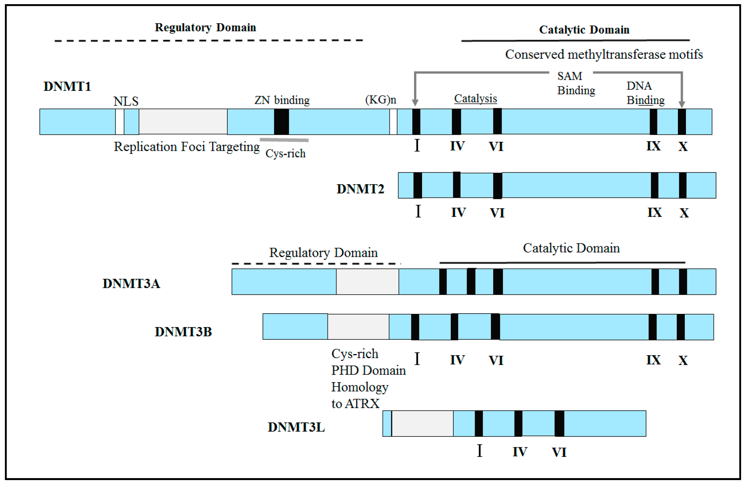 Genes 14 00873 g003
