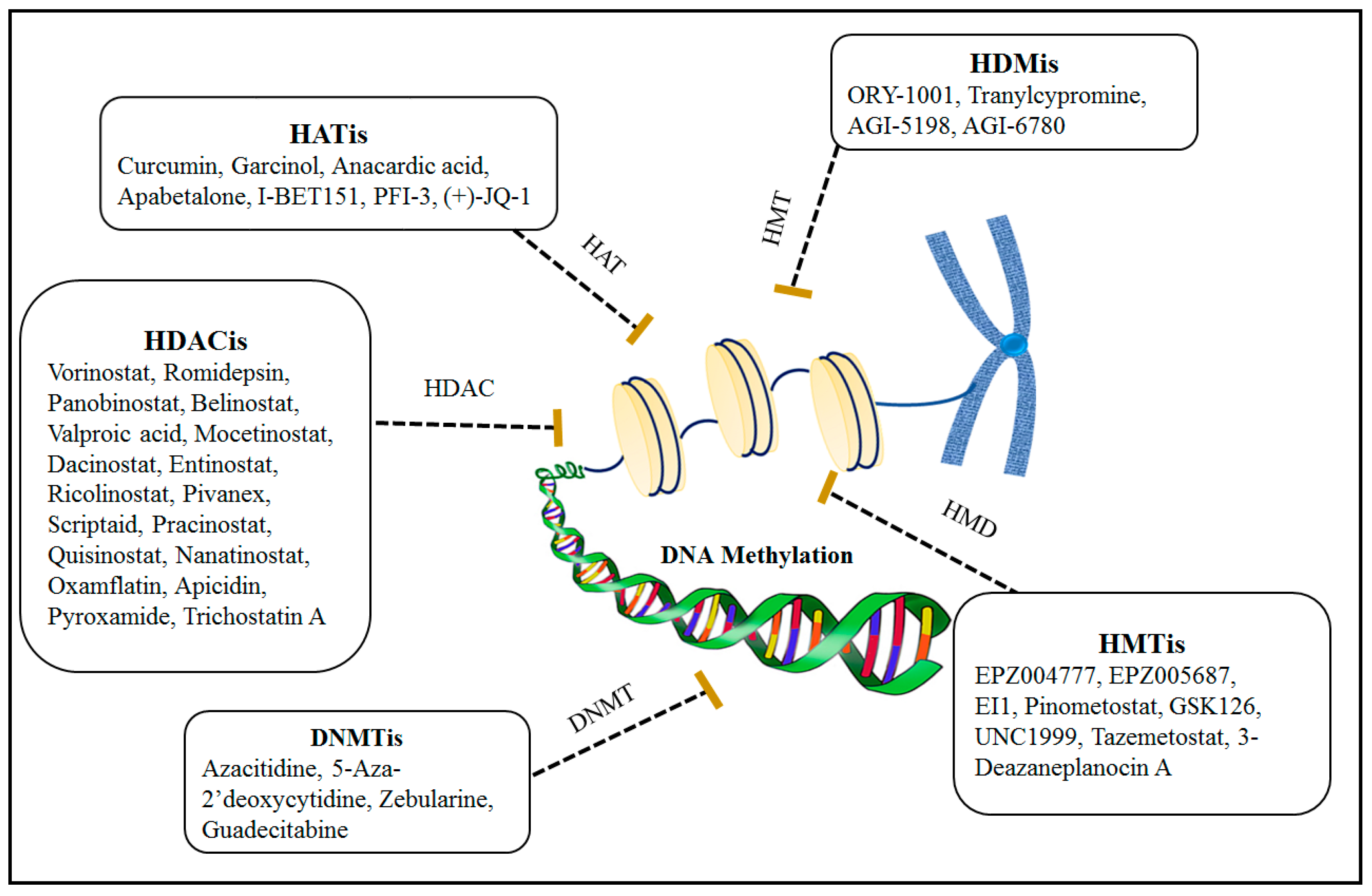 Genes, Free Full-Text