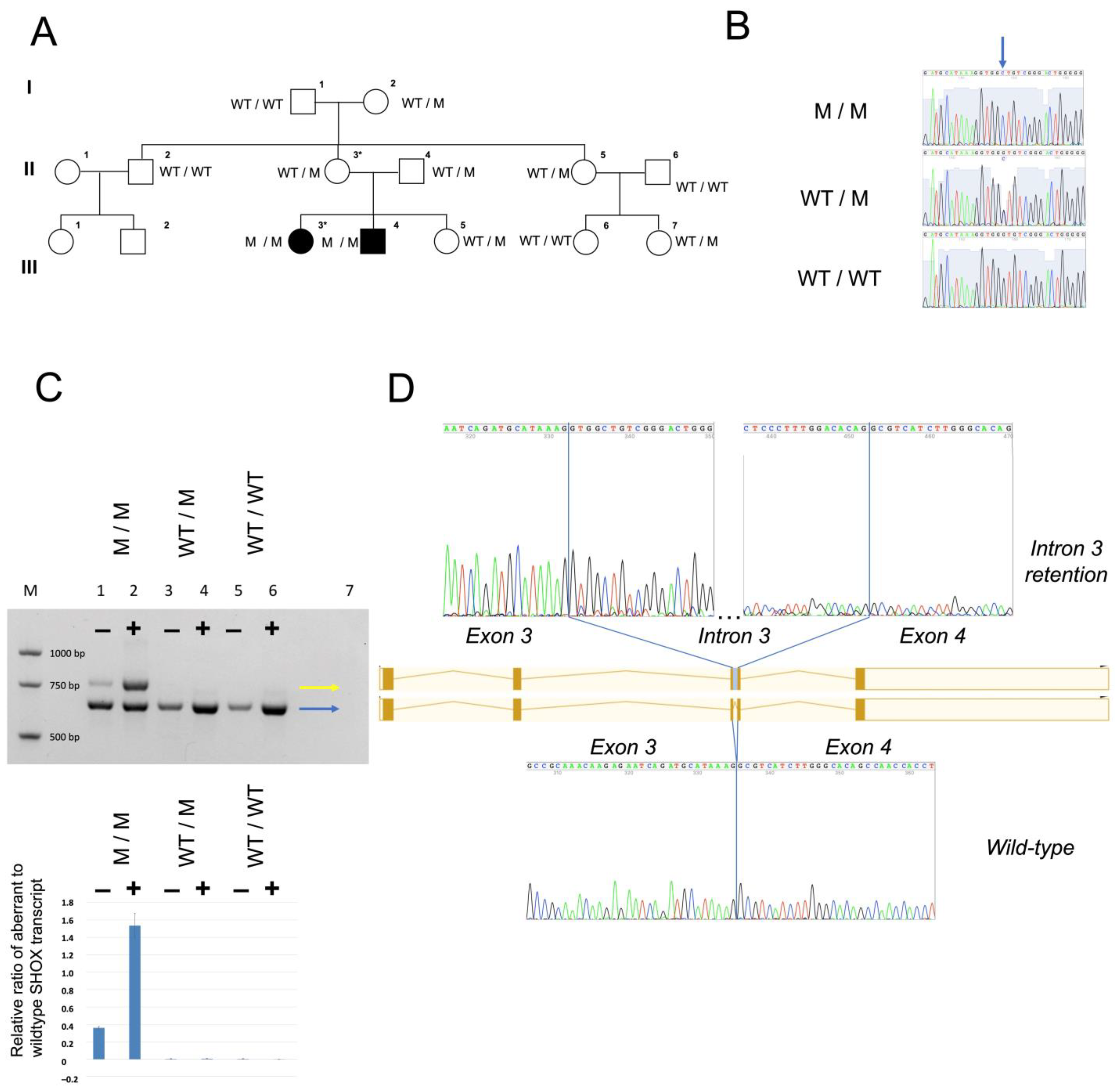 Genes 14 00877 g002 Genes 14 00877 g002