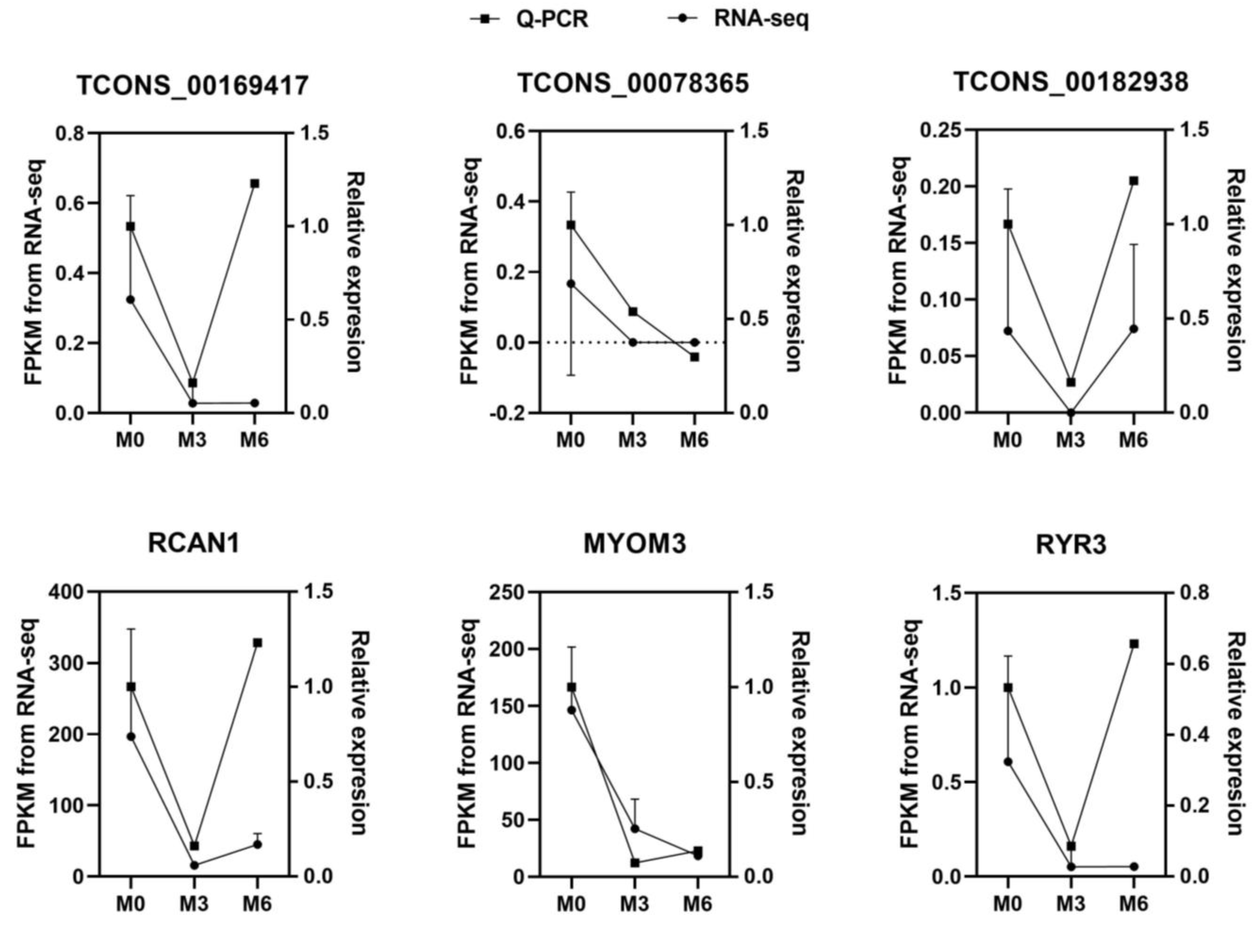 Genes 14 00881 g002 Genes 14 00881 g002