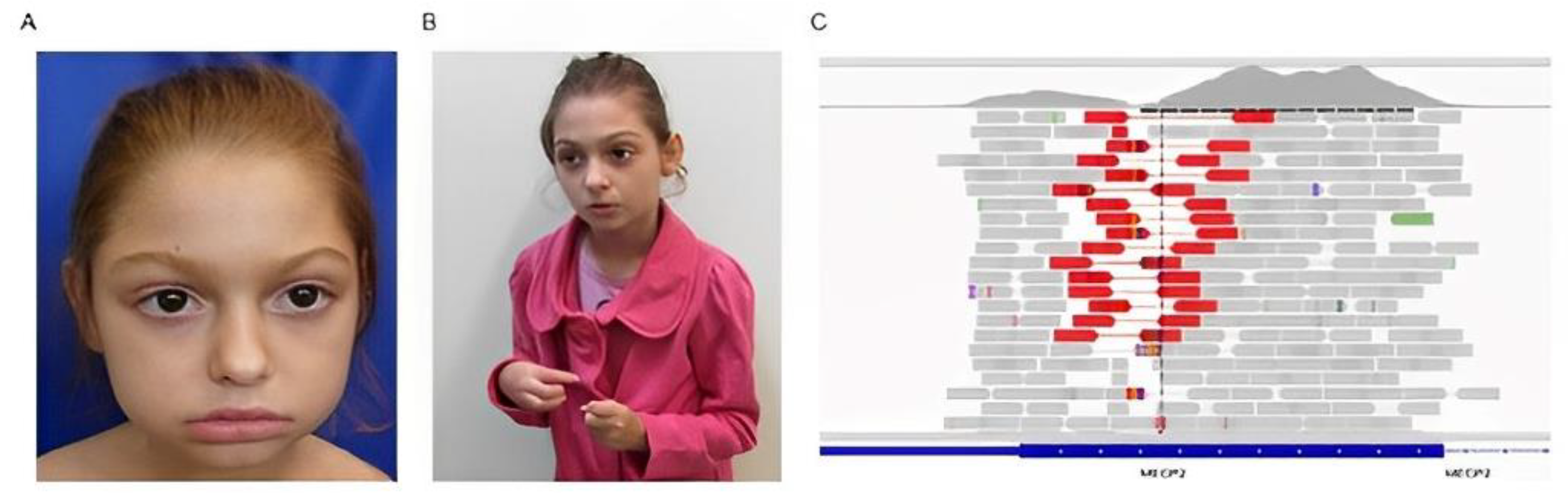 Genes 14 00885 g003 Genes 14 00885 g003