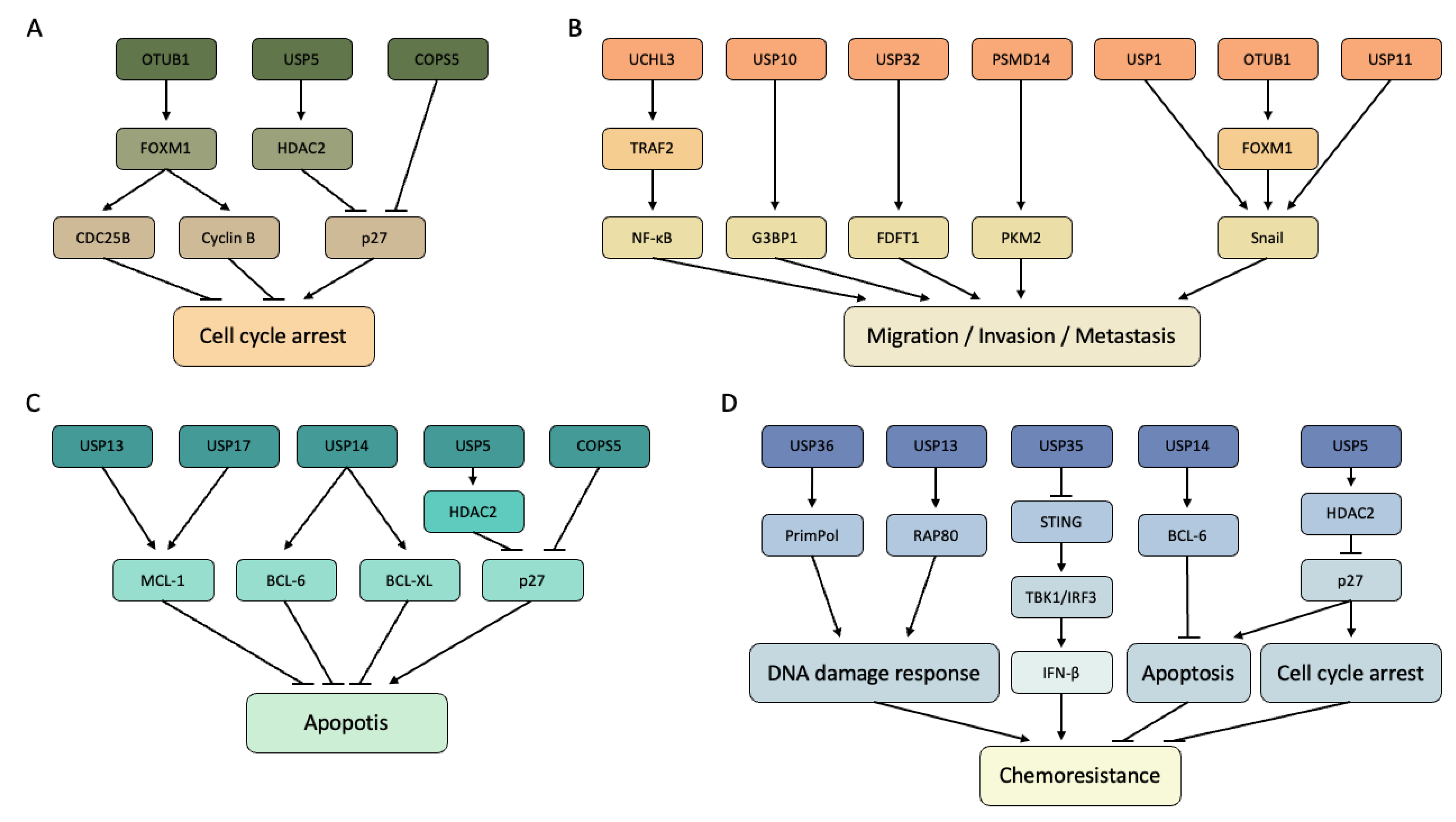 Genes 14 00886 g002 Genes 14 00886 g002
