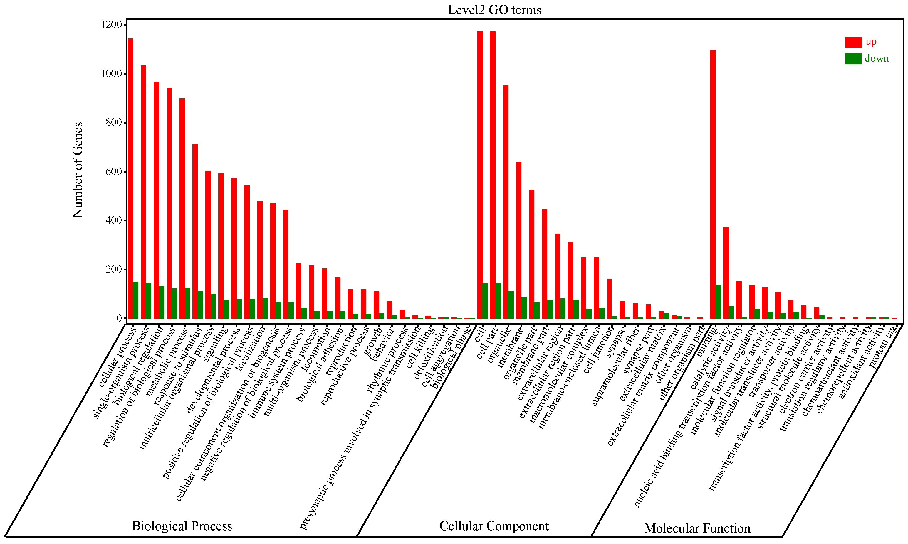 Genes 14 00888 g002 Genes 14 00888 g002