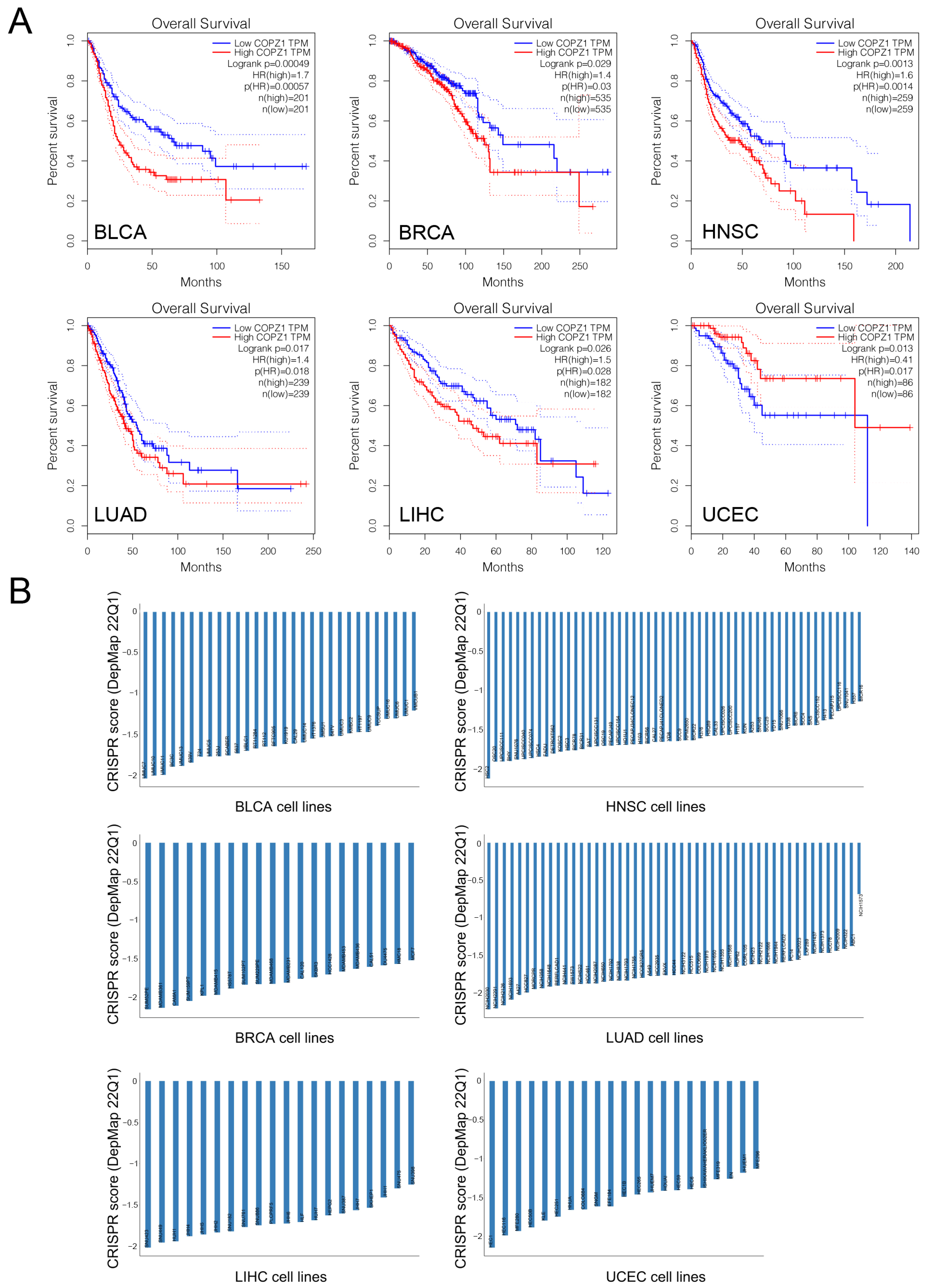Genes 14 00889 g002 Genes 14 00889 g002