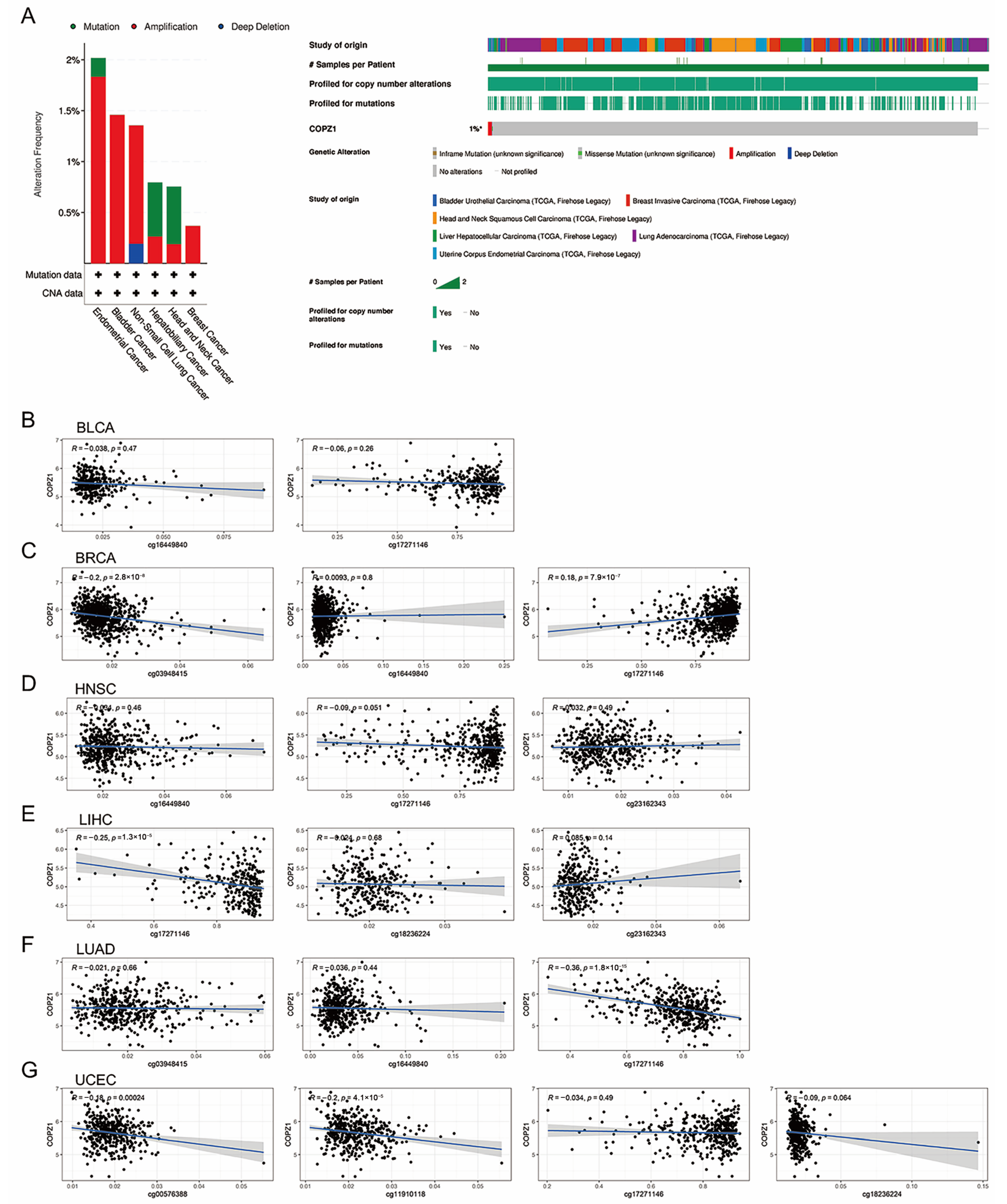 Genes 14 00889 g003 Genes 14 00889 g003