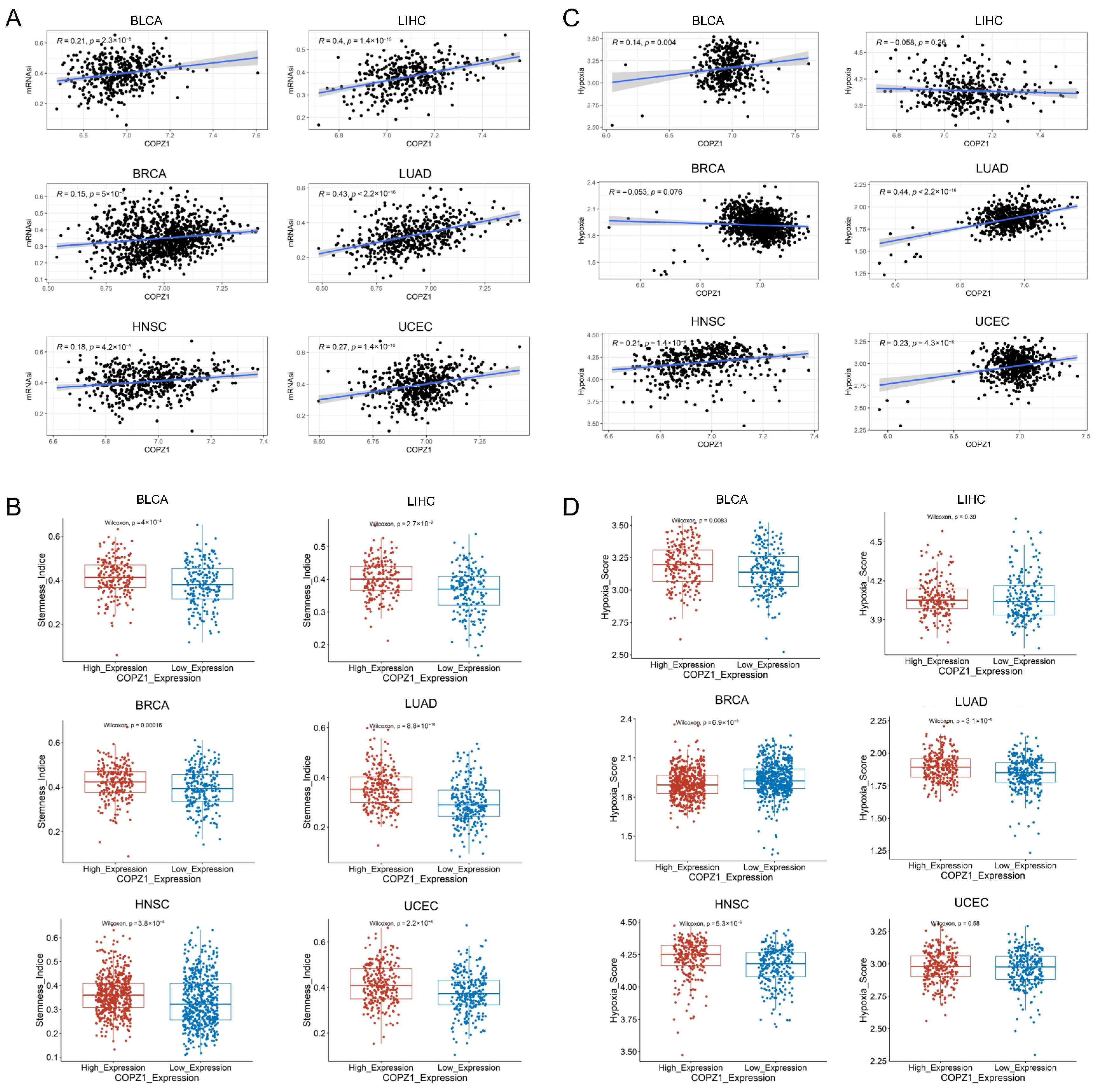 Genes 14 00889 g004 Genes 14 00889 g004