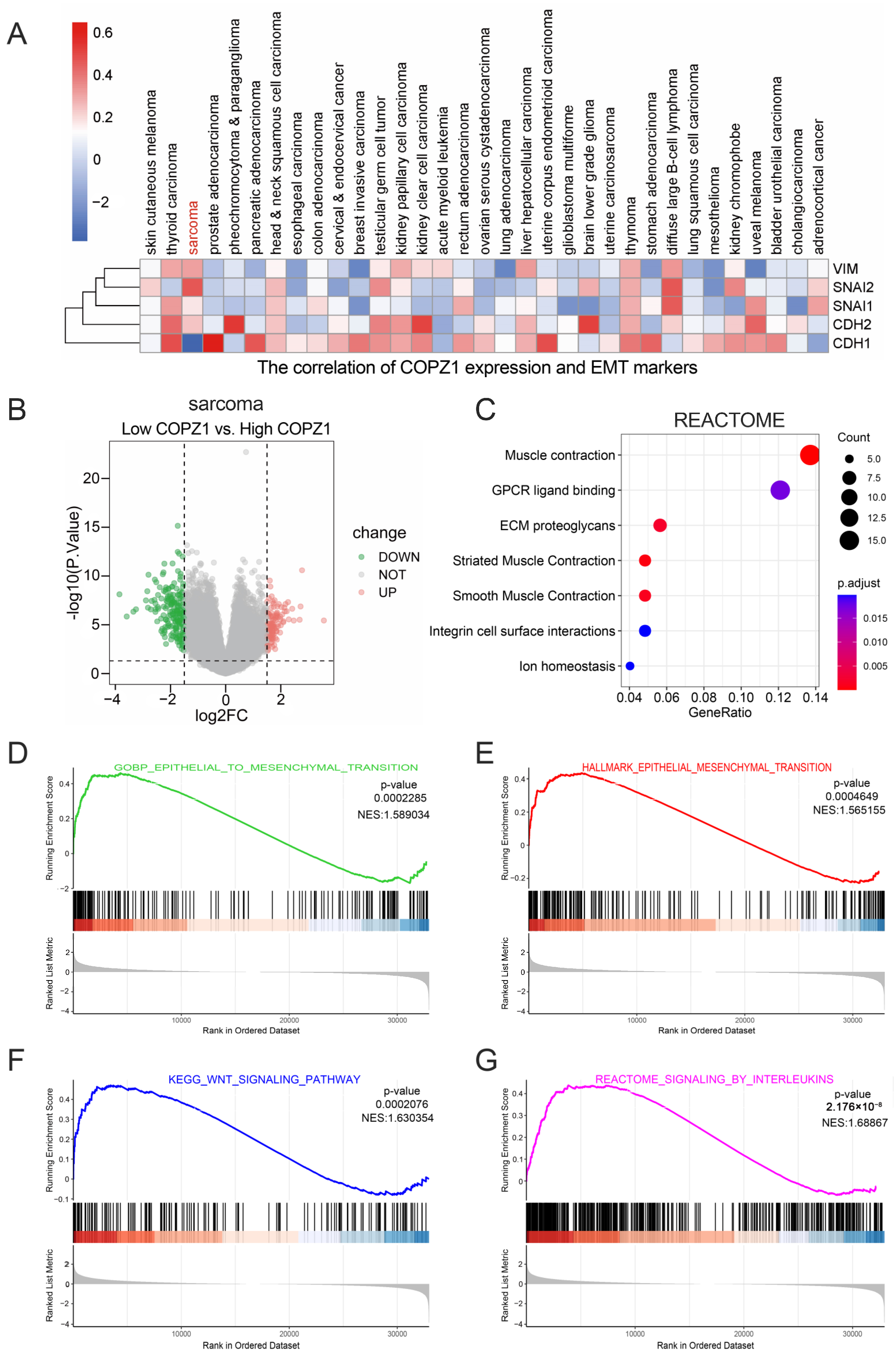 Genes 14 00889 g005 Genes 14 00889 g005