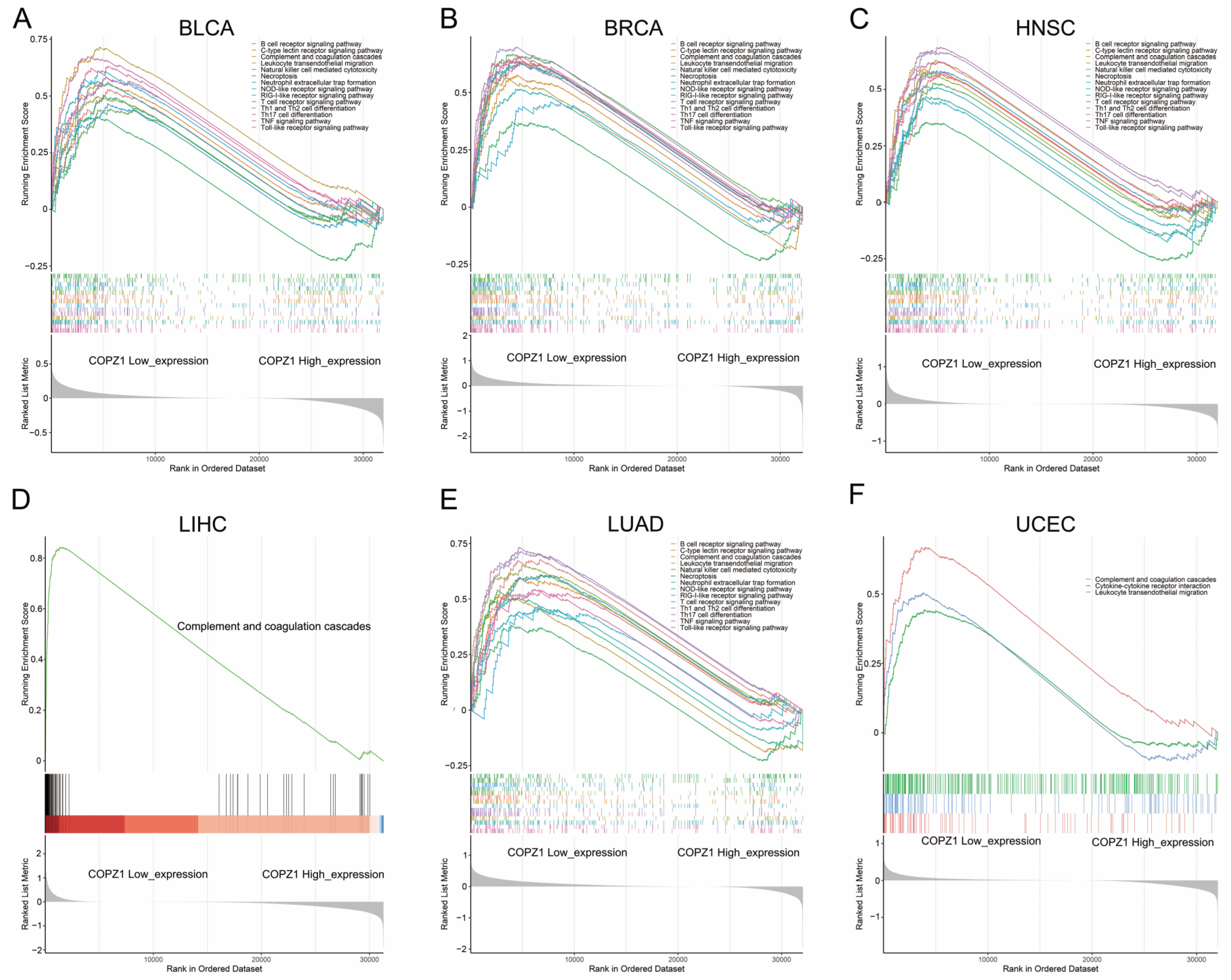 Genes 14 00889 g006 Genes 14 00889 g006