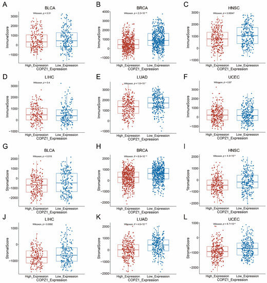 A Comprehensive Pan-Cancer Analysis of the Regulation and