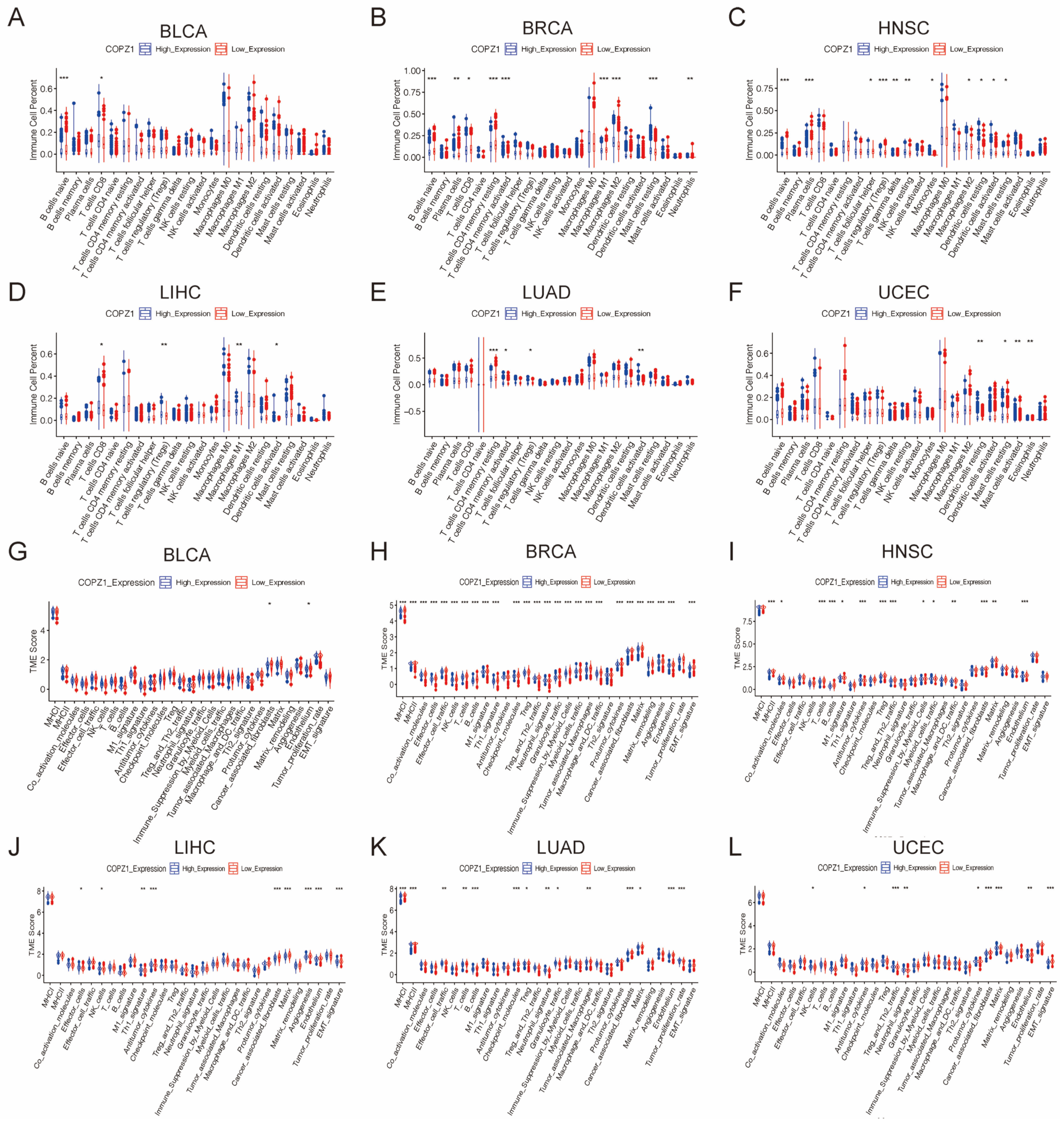 Genes 14 00889 g008 Genes 14 00889 g008