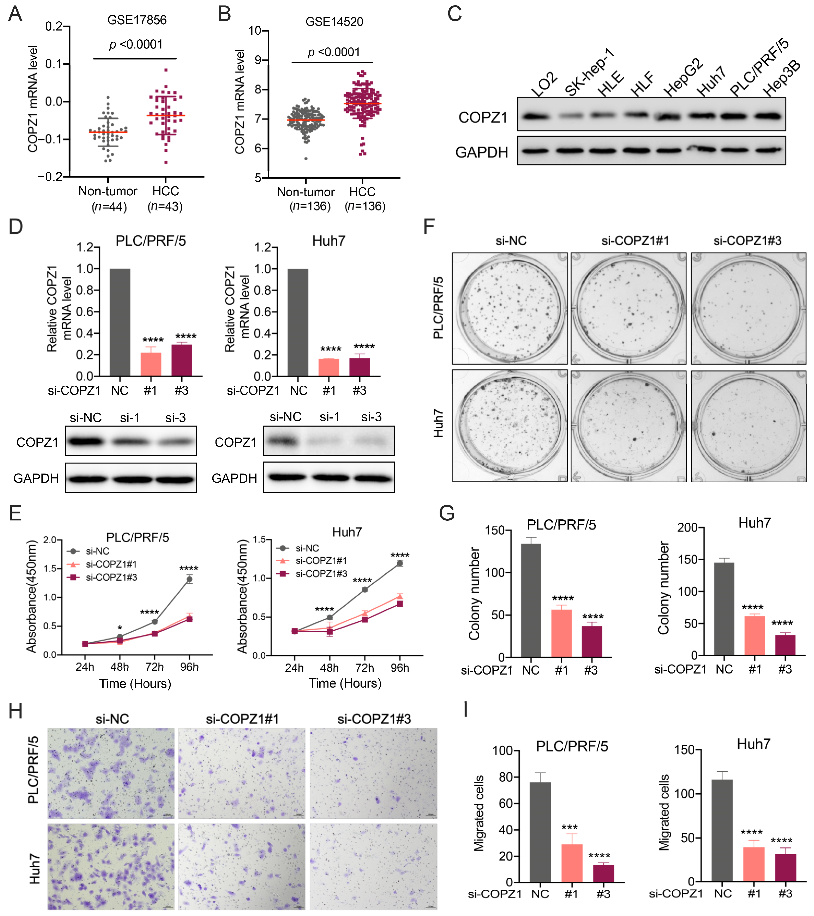 Genes 14 00889 g010 Genes 14 00889 g010