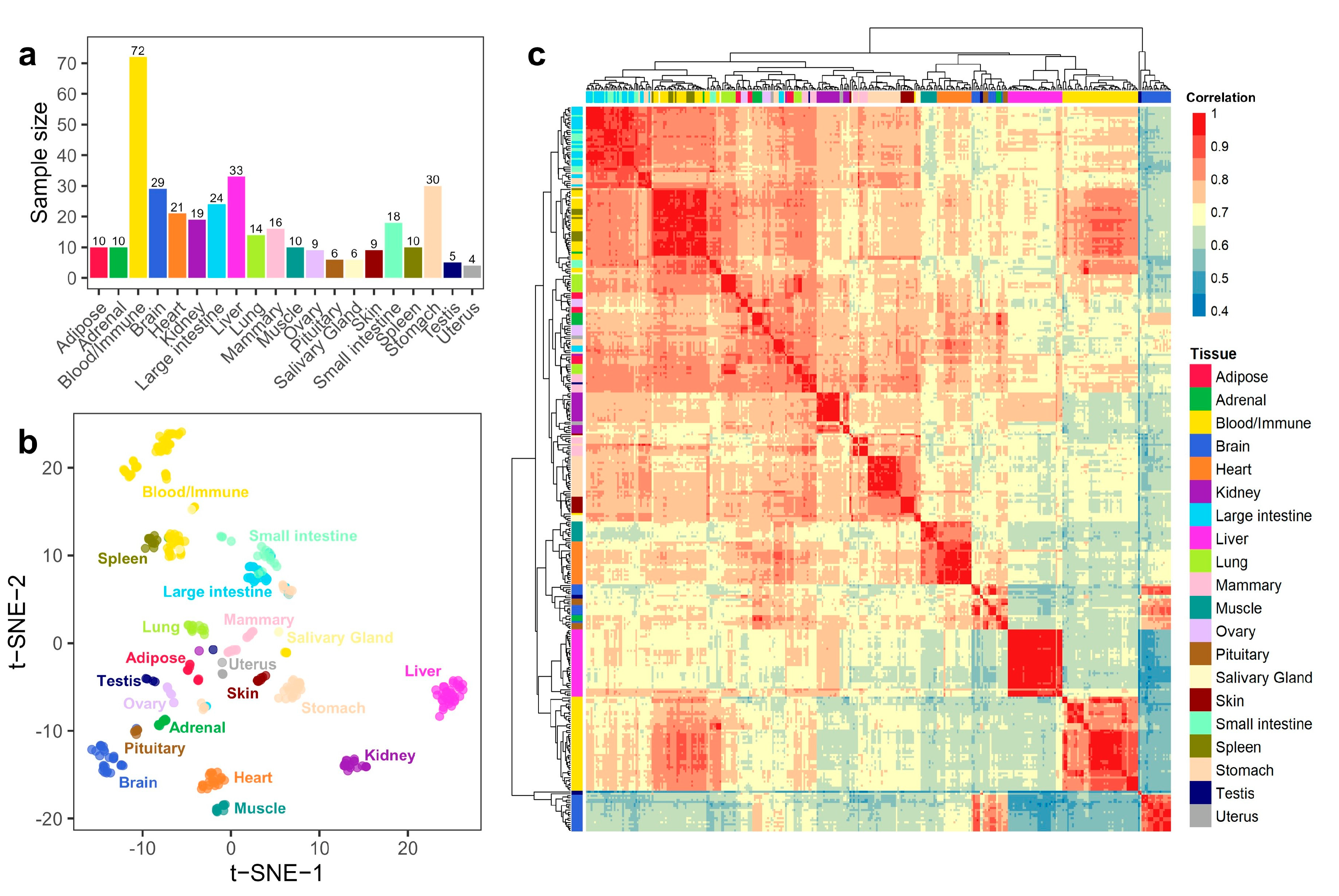 Genes 14 00890 g001 Genes 14 00890 g001
