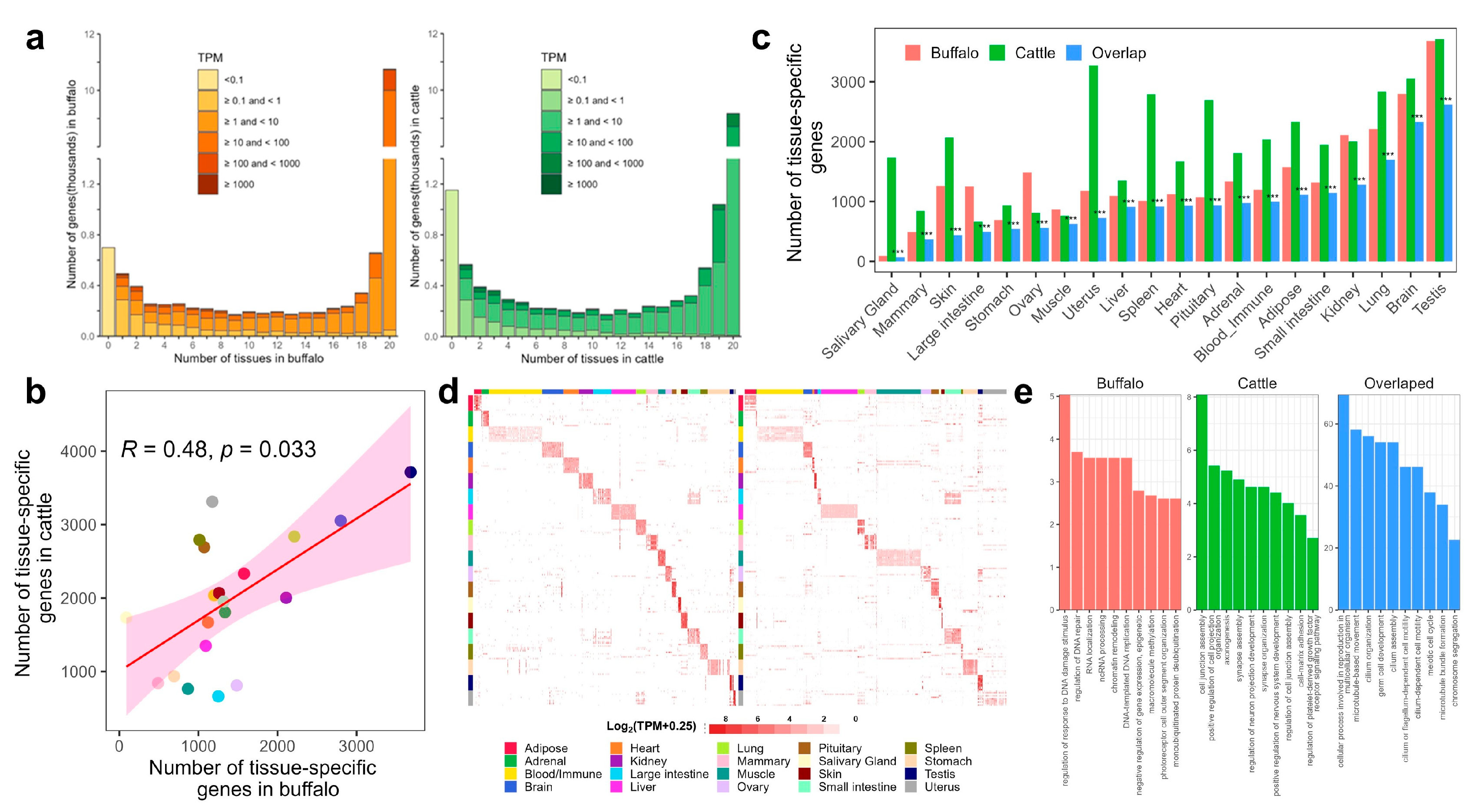 Genes 14 00890 g003 Genes 14 00890 g003