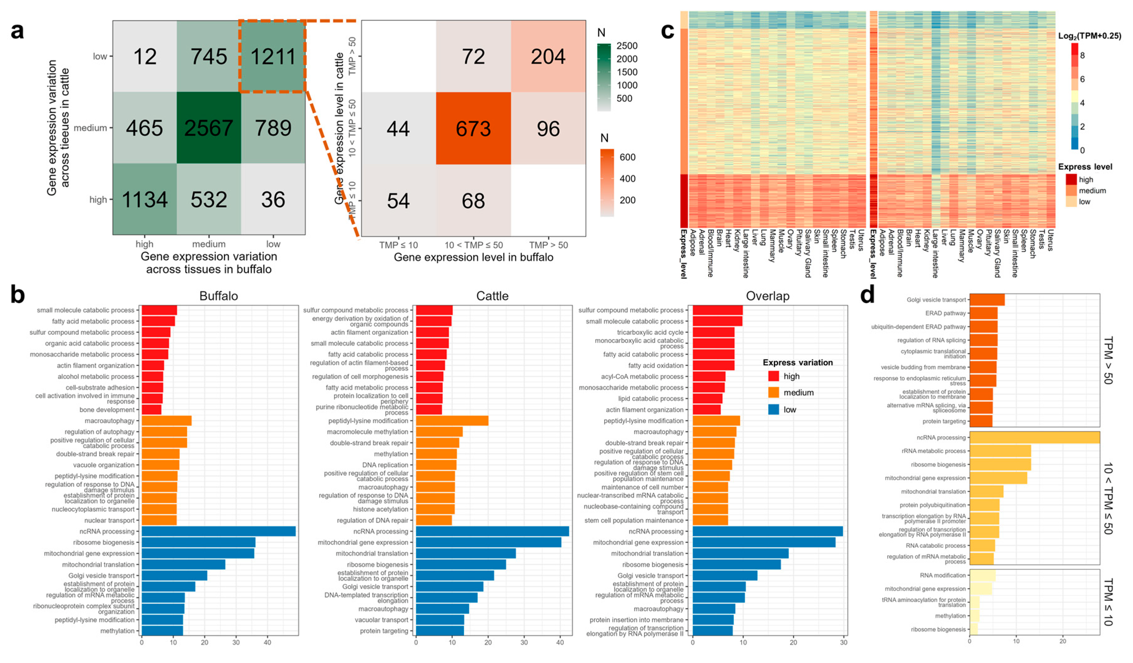 Genes 14 00890 g004 Genes 14 00890 g004