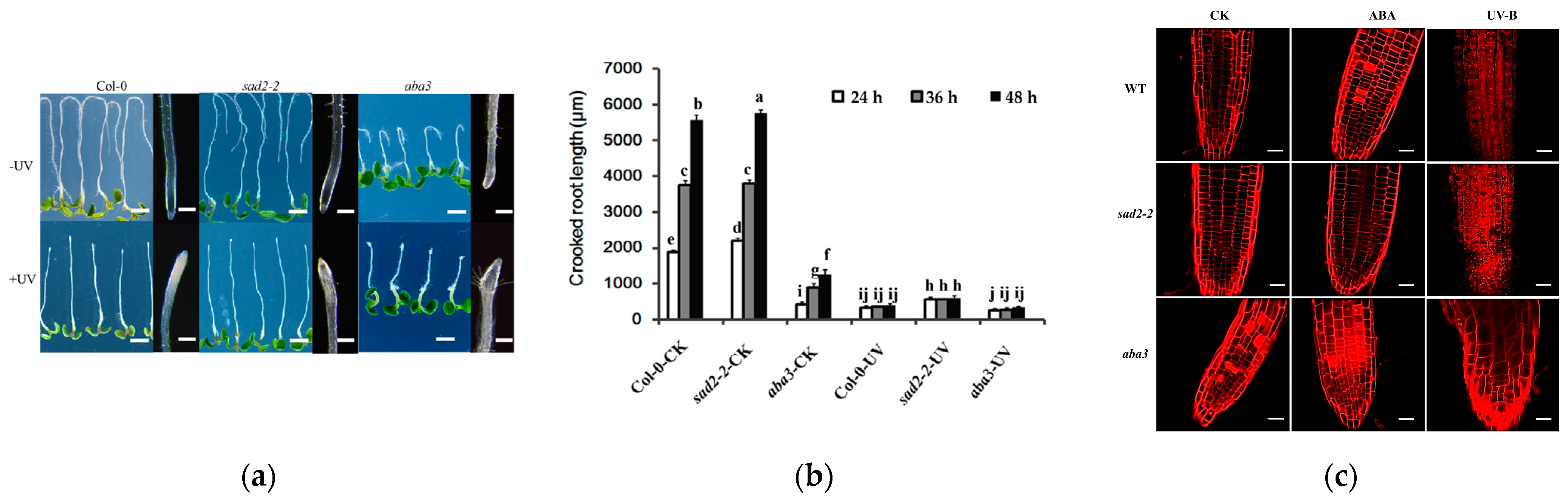 Genes 14 00892 g002 Genes 14 00892 g002