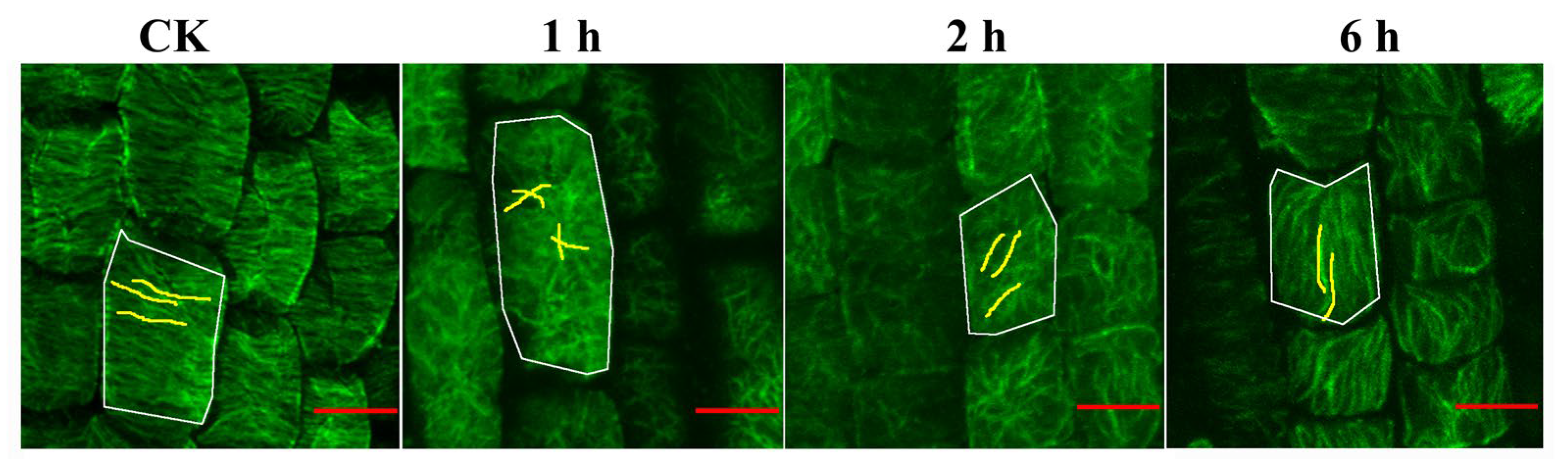 Genes 14 00892 g003 Genes 14 00892 g003