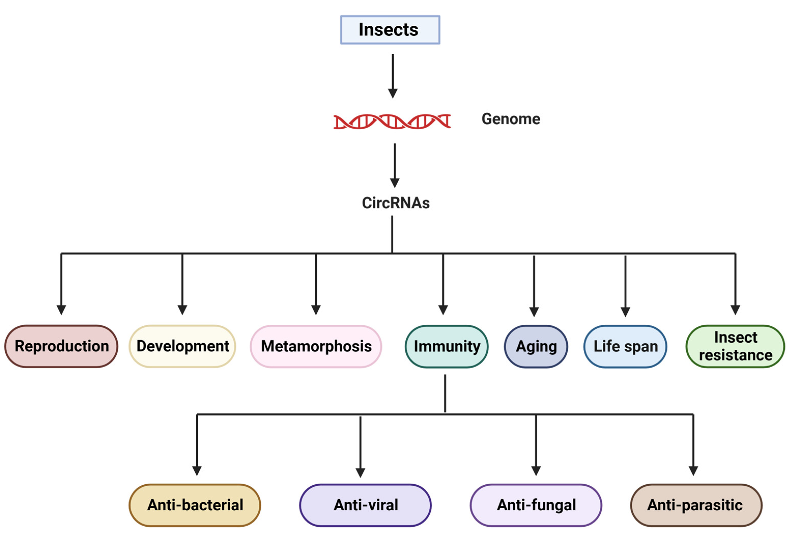 Genes 14 00895 g002 Genes 14 00895 g002