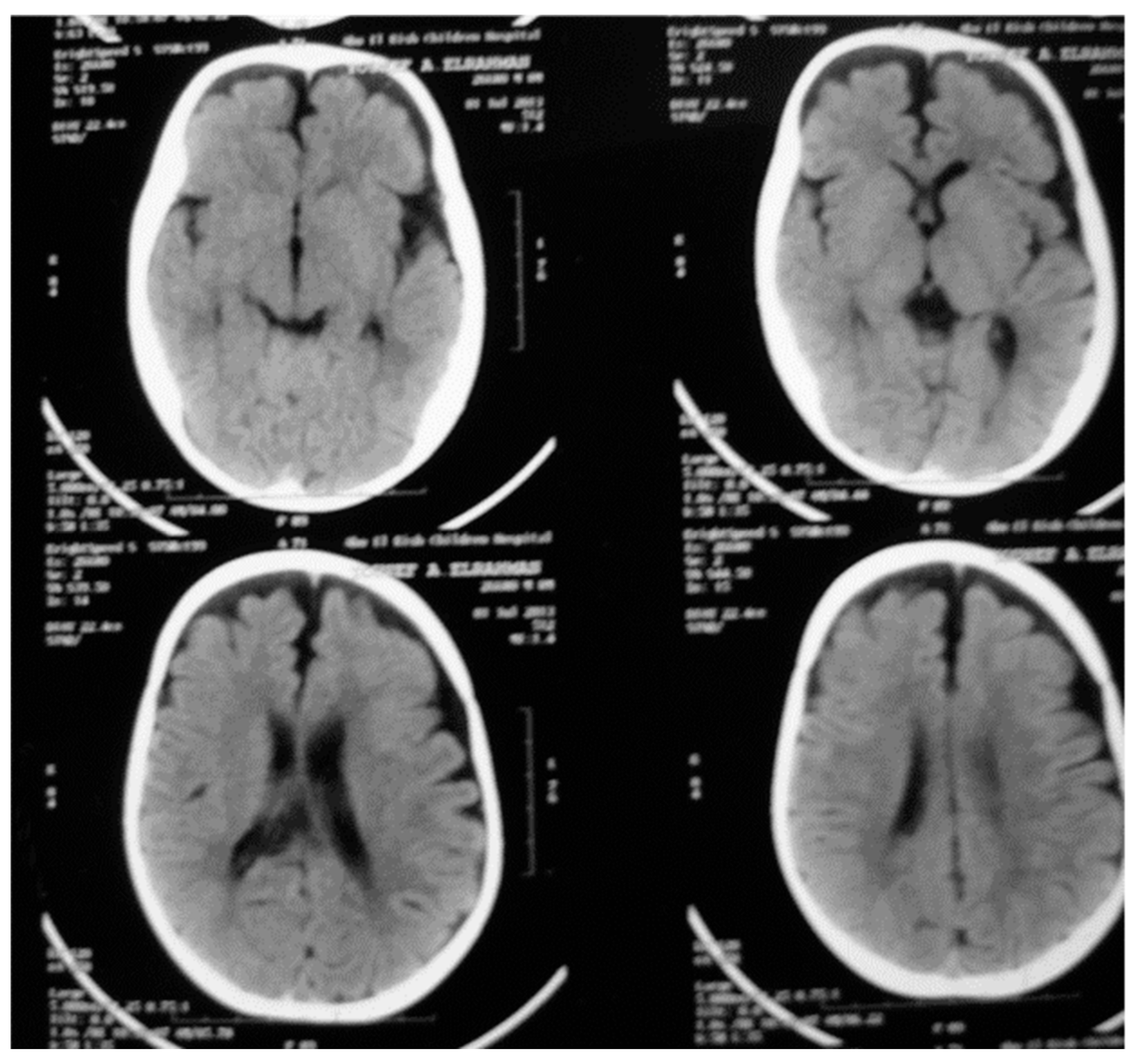 Genes 14 00900 g004 Genes 14 00900 g004