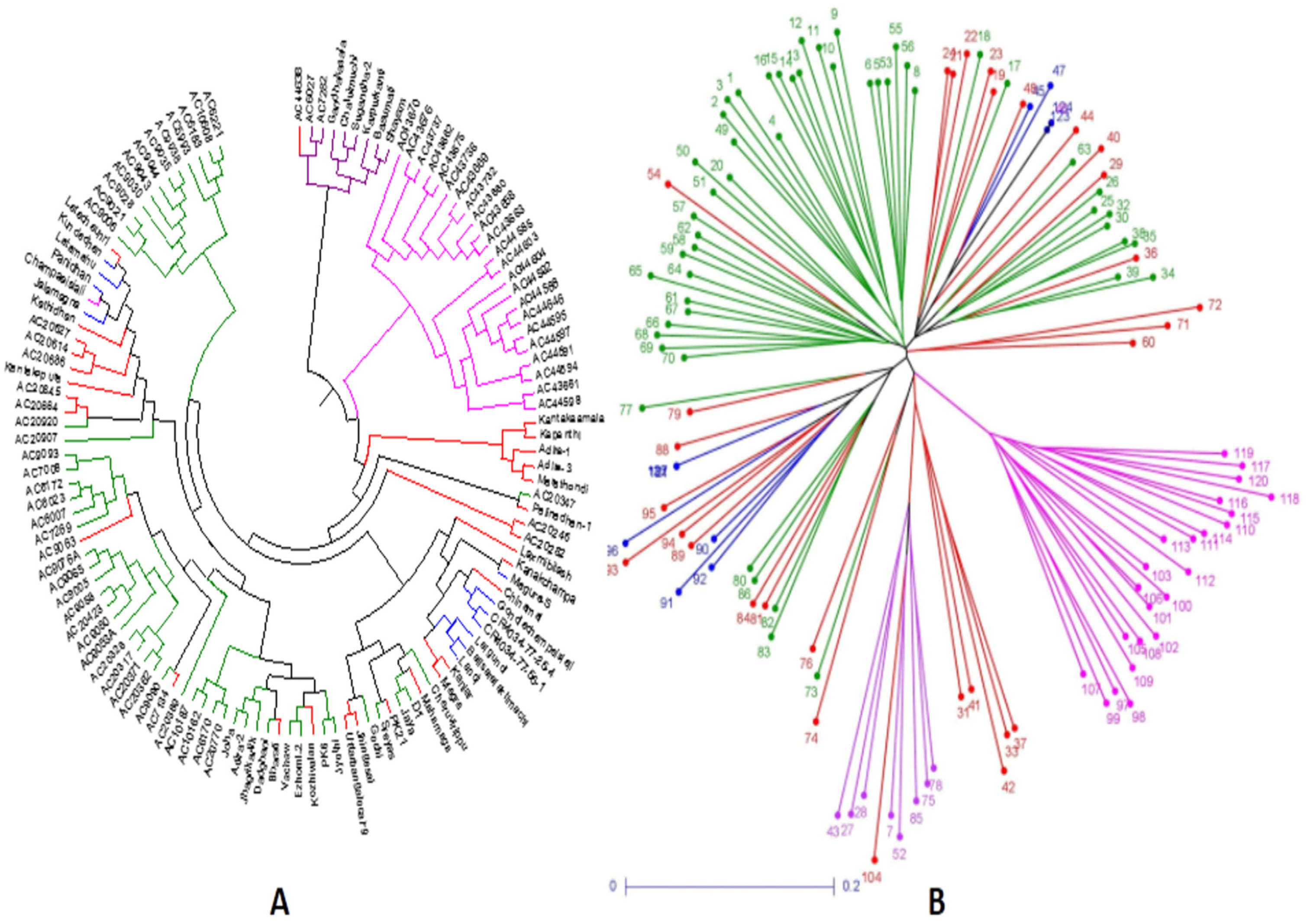 Genes 14 00902 g007 Genes 14 00902 g007