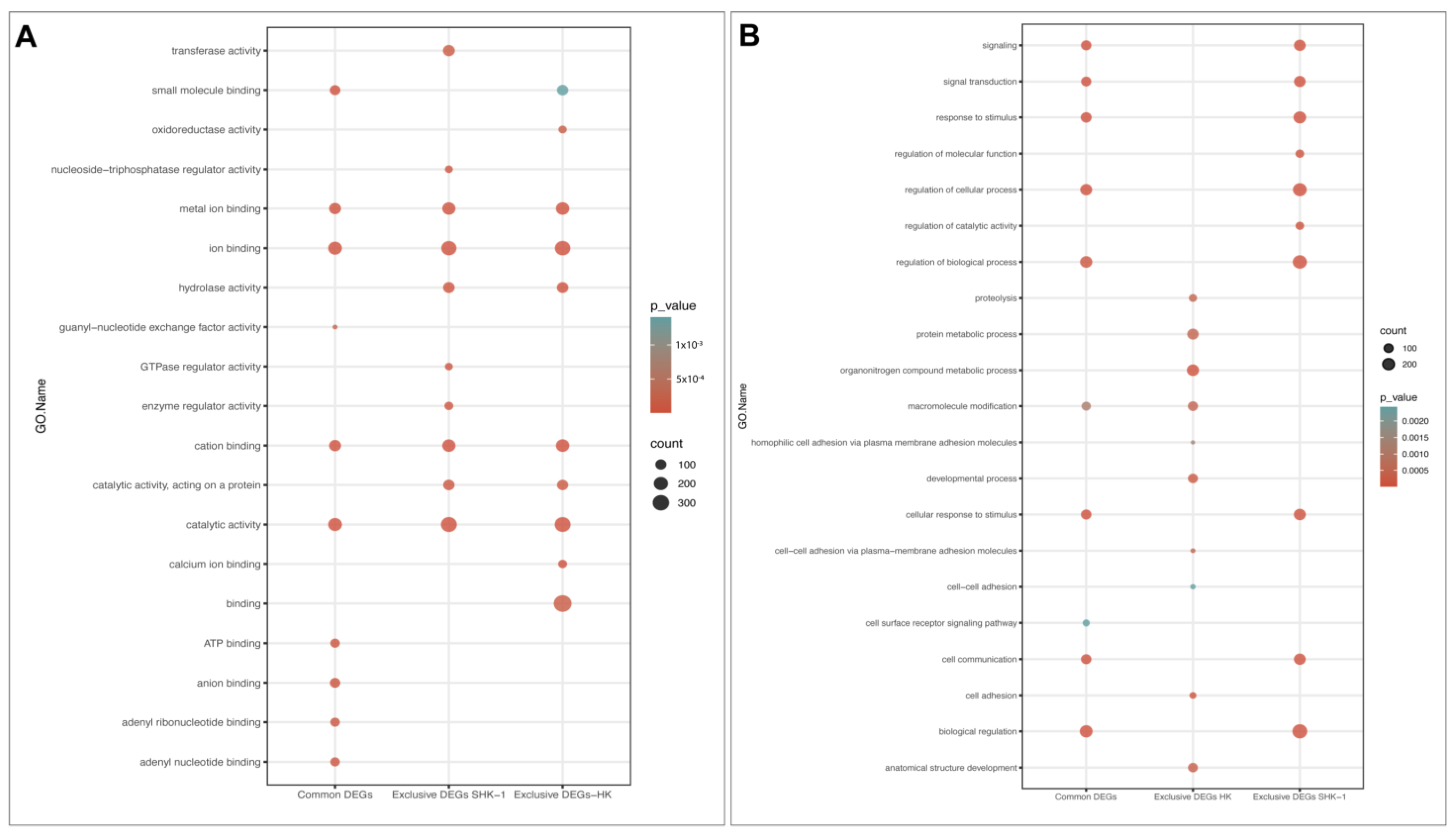 Genes 14 00905 g002 Genes 14 00905 g002