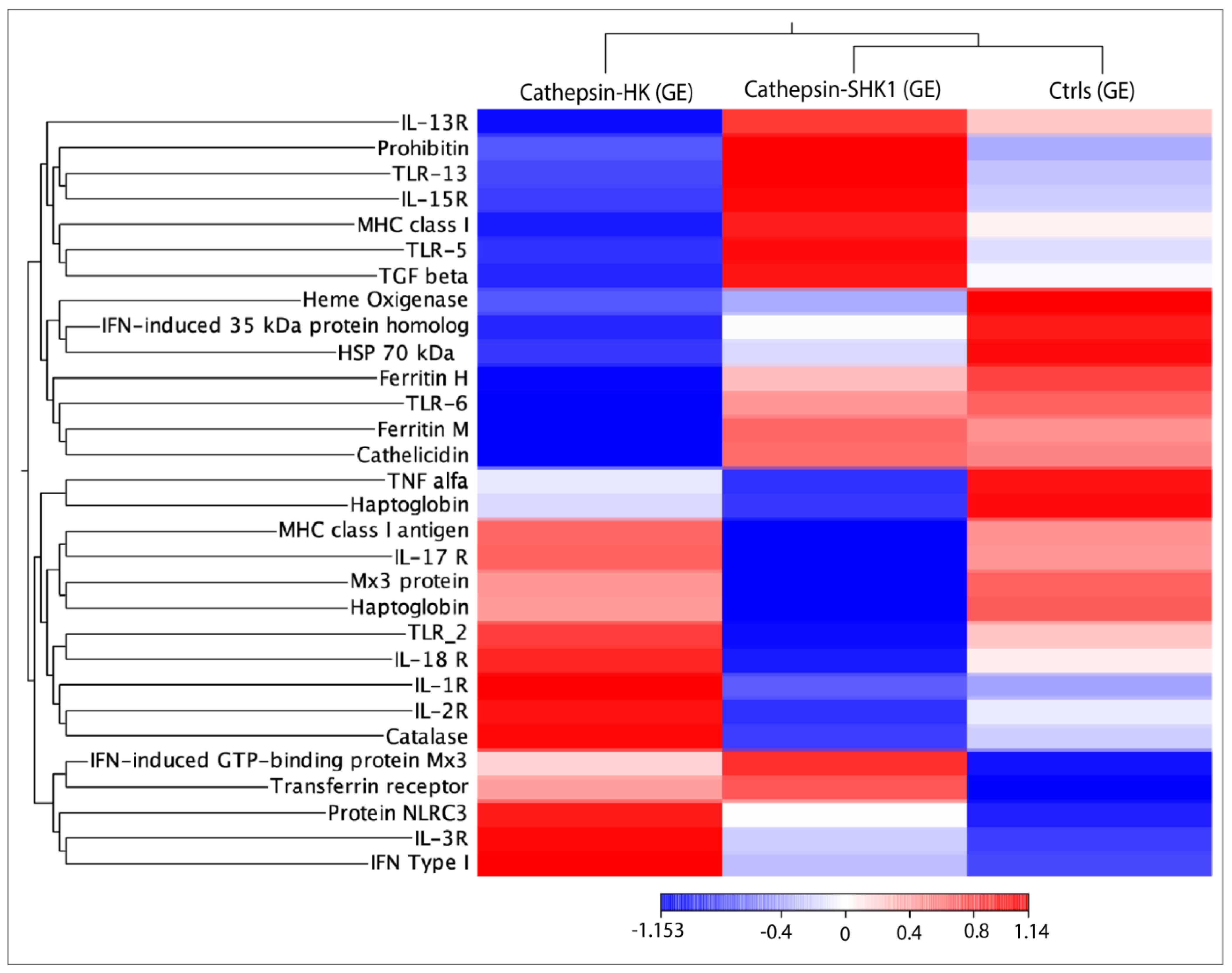 Genes 14 00905 g004 Genes 14 00905 g004