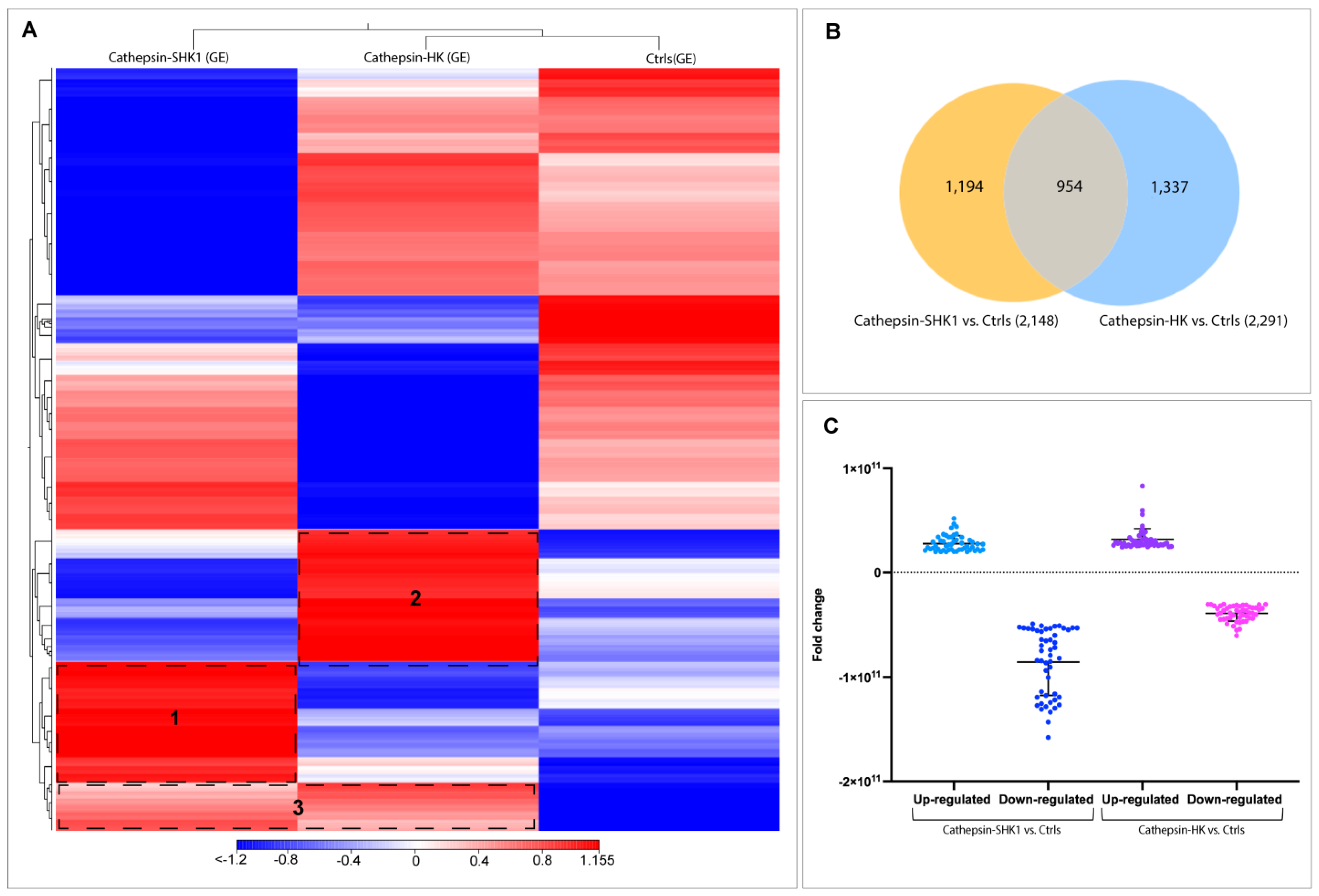 Genes 14 00905 g005 Genes 14 00905 g005