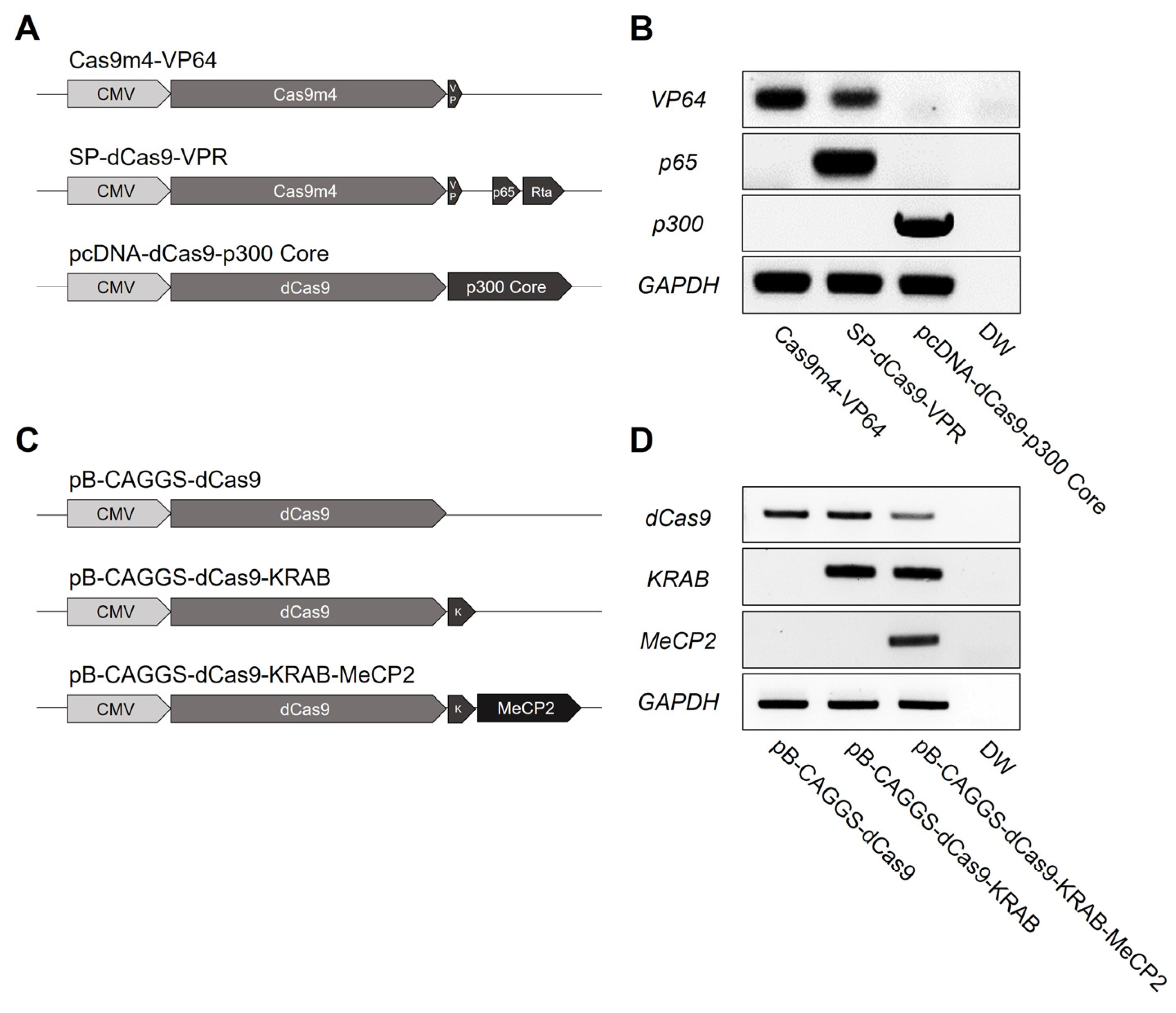Genes 14 00906 g001 Genes 14 00906 g001