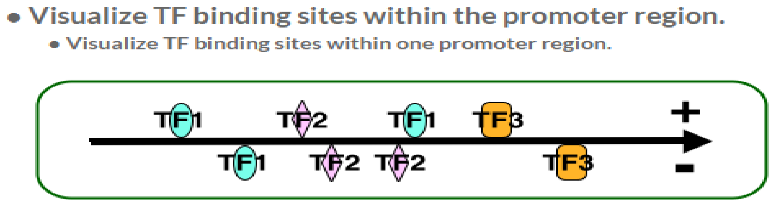 Genes 14 00907 g013 Genes 14 00907 g013