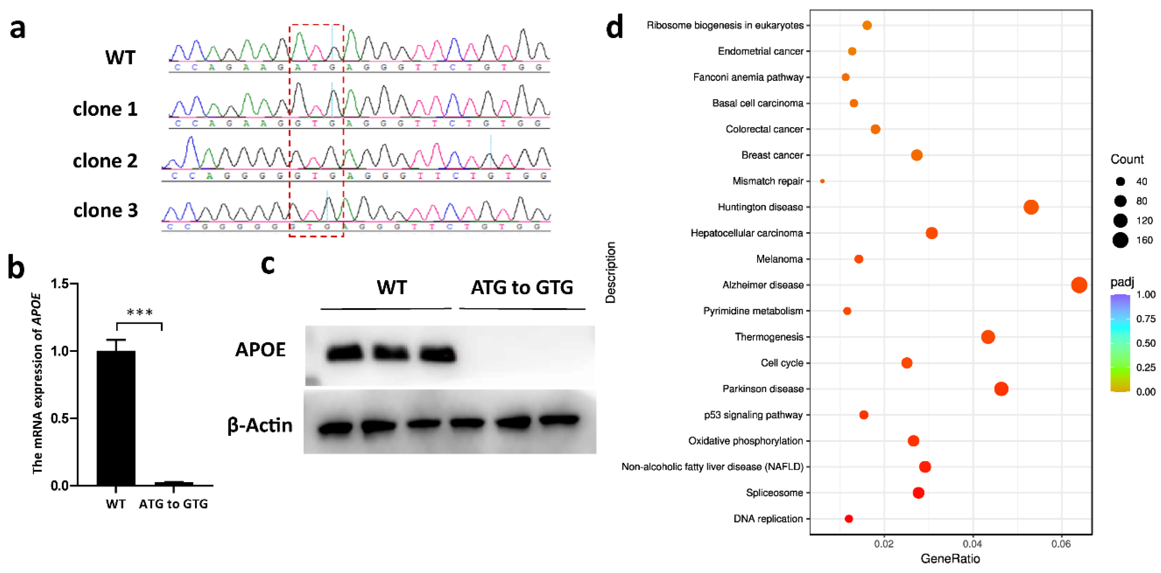 Genes 14 00908 g005 Genes 14 00908 g005