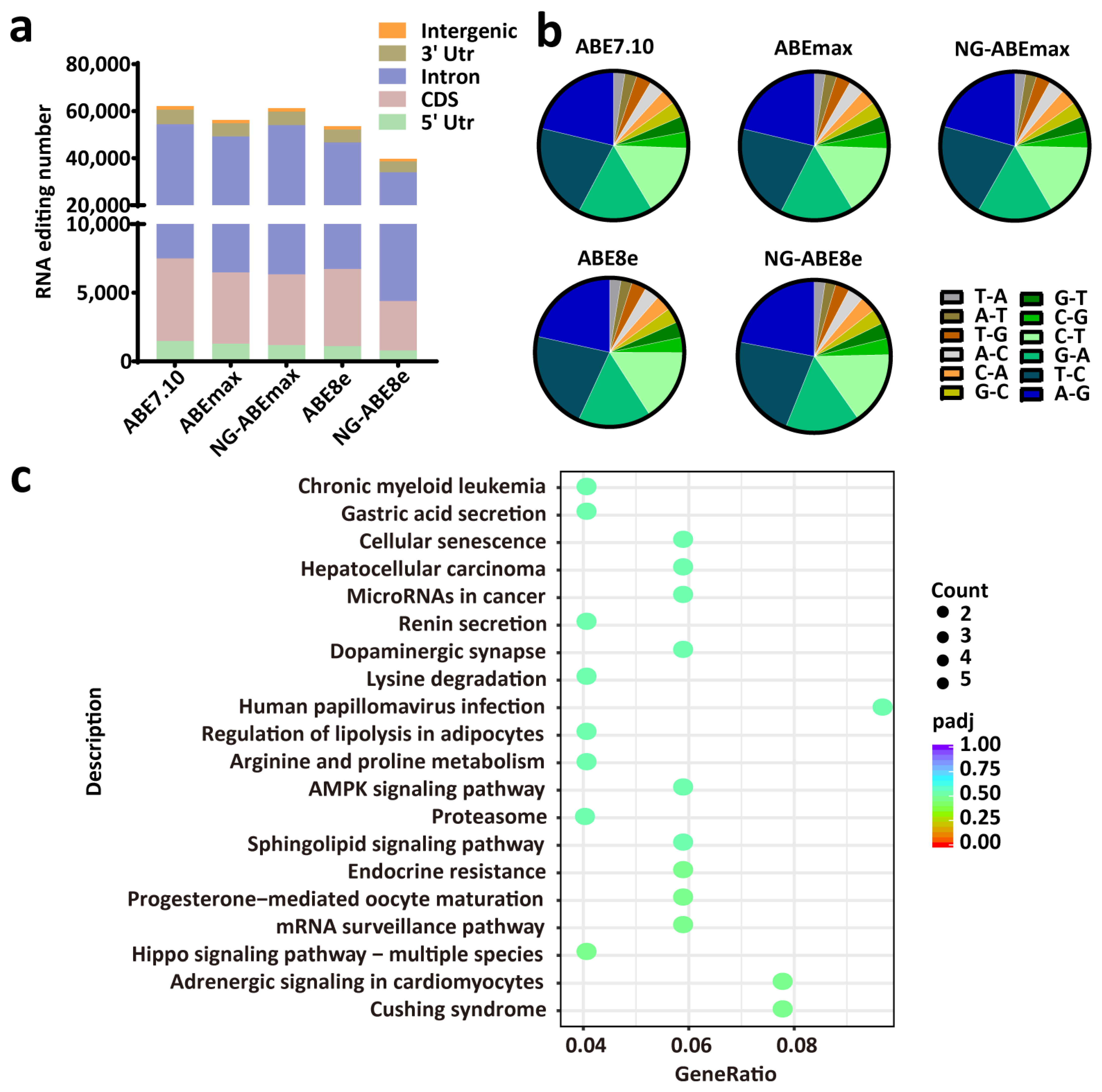 Genes 14 00908 g006 Genes 14 00908 g006