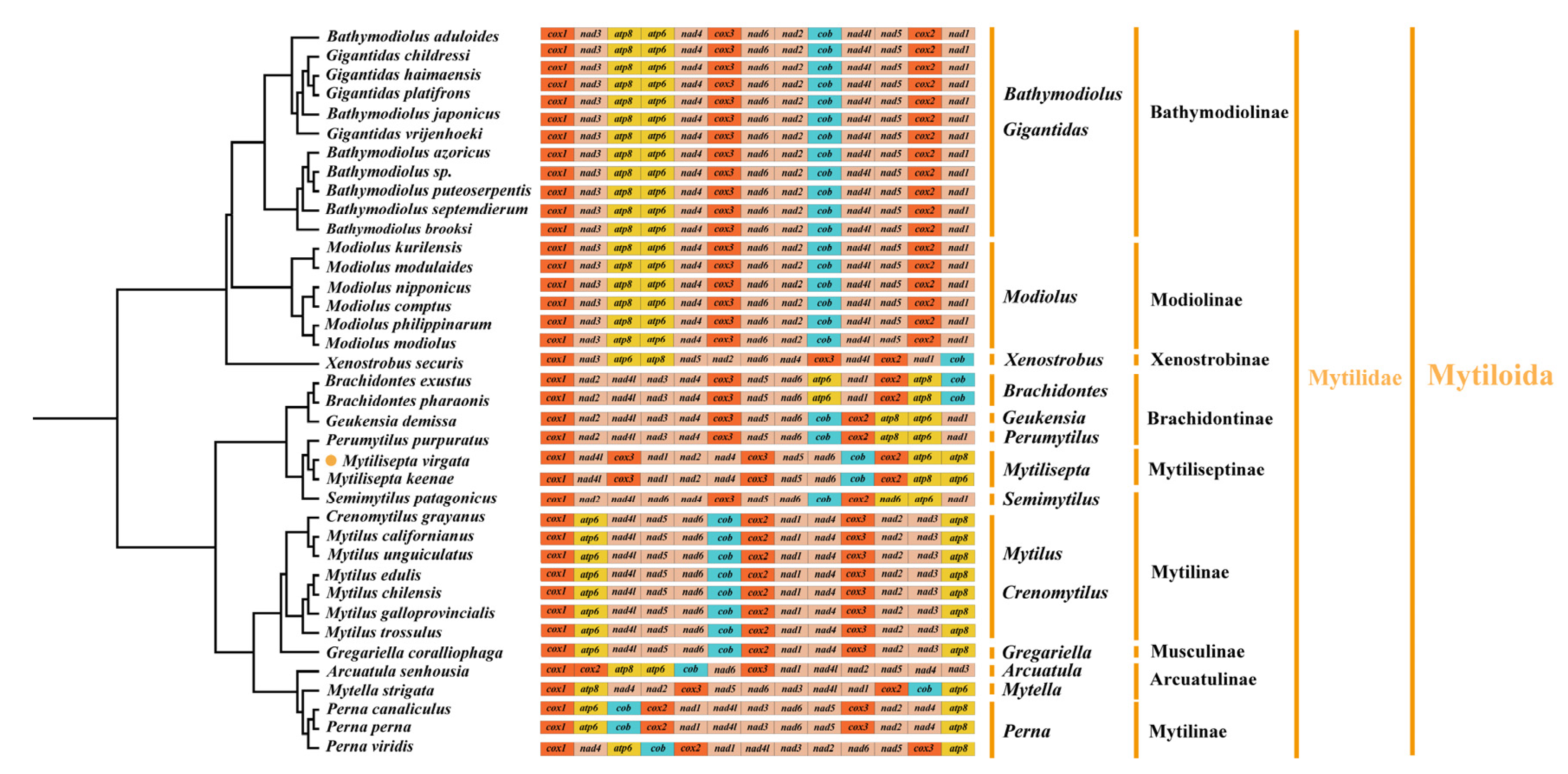 Genes 14 00910 g005 Genes 14 00910 g005