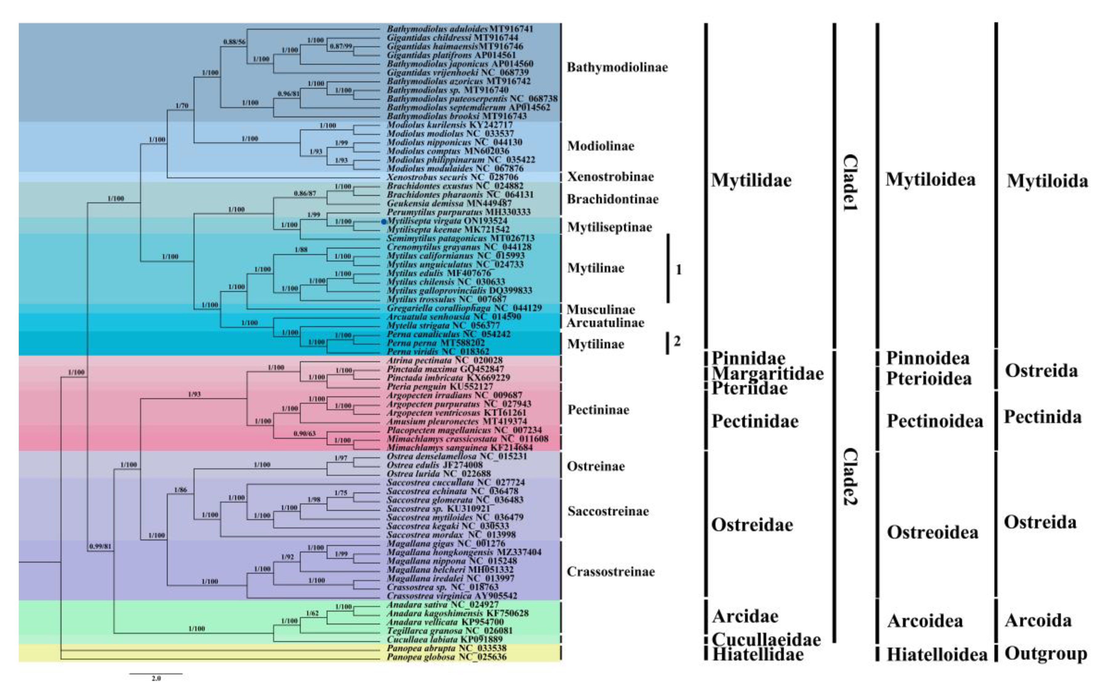 Genes 14 00910 g007 Genes 14 00910 g007