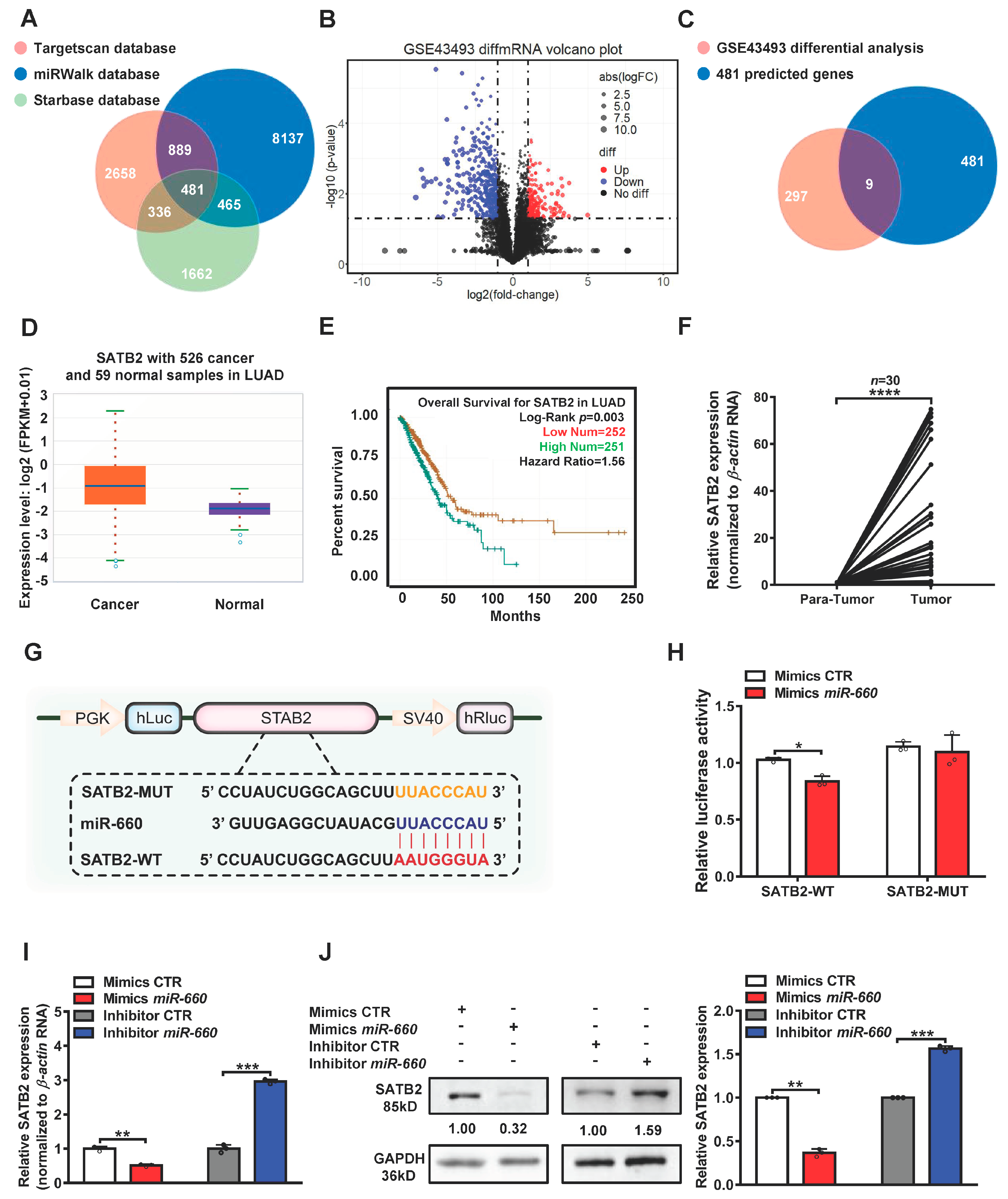 Genes 14 00911 g003 Genes 14 00911 g003