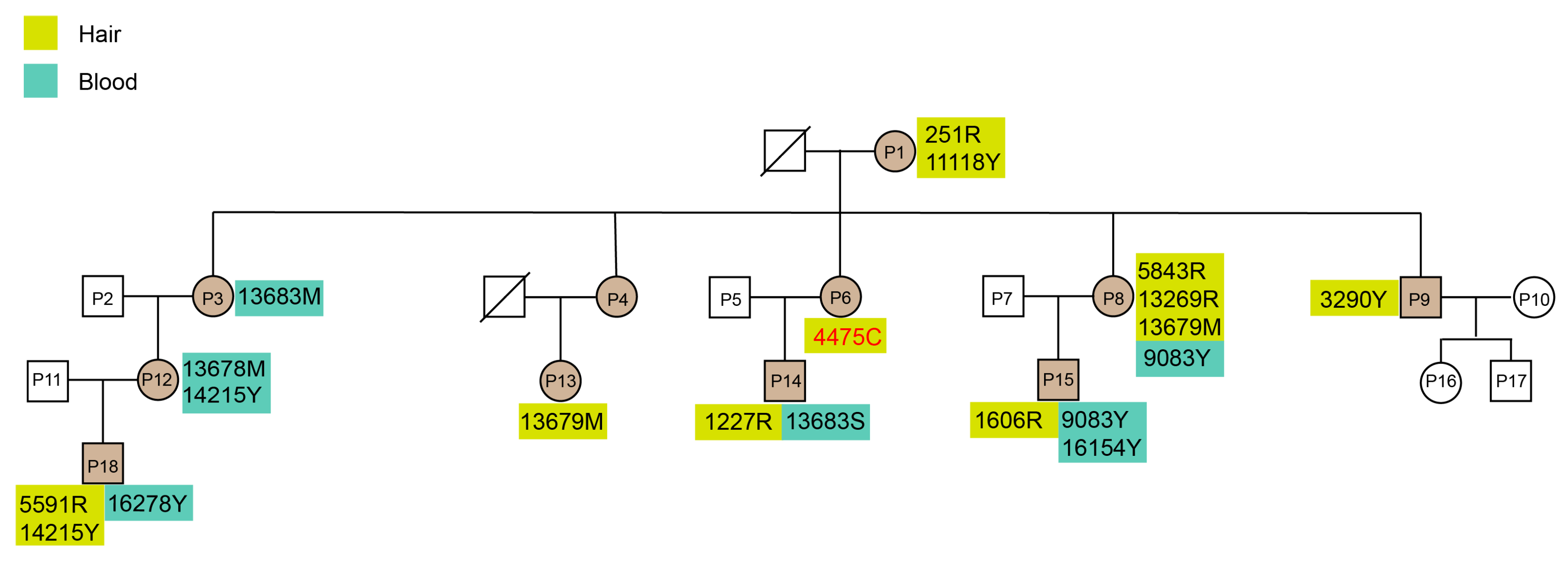 Genes 14 00912 g008 Genes 14 00912 g008