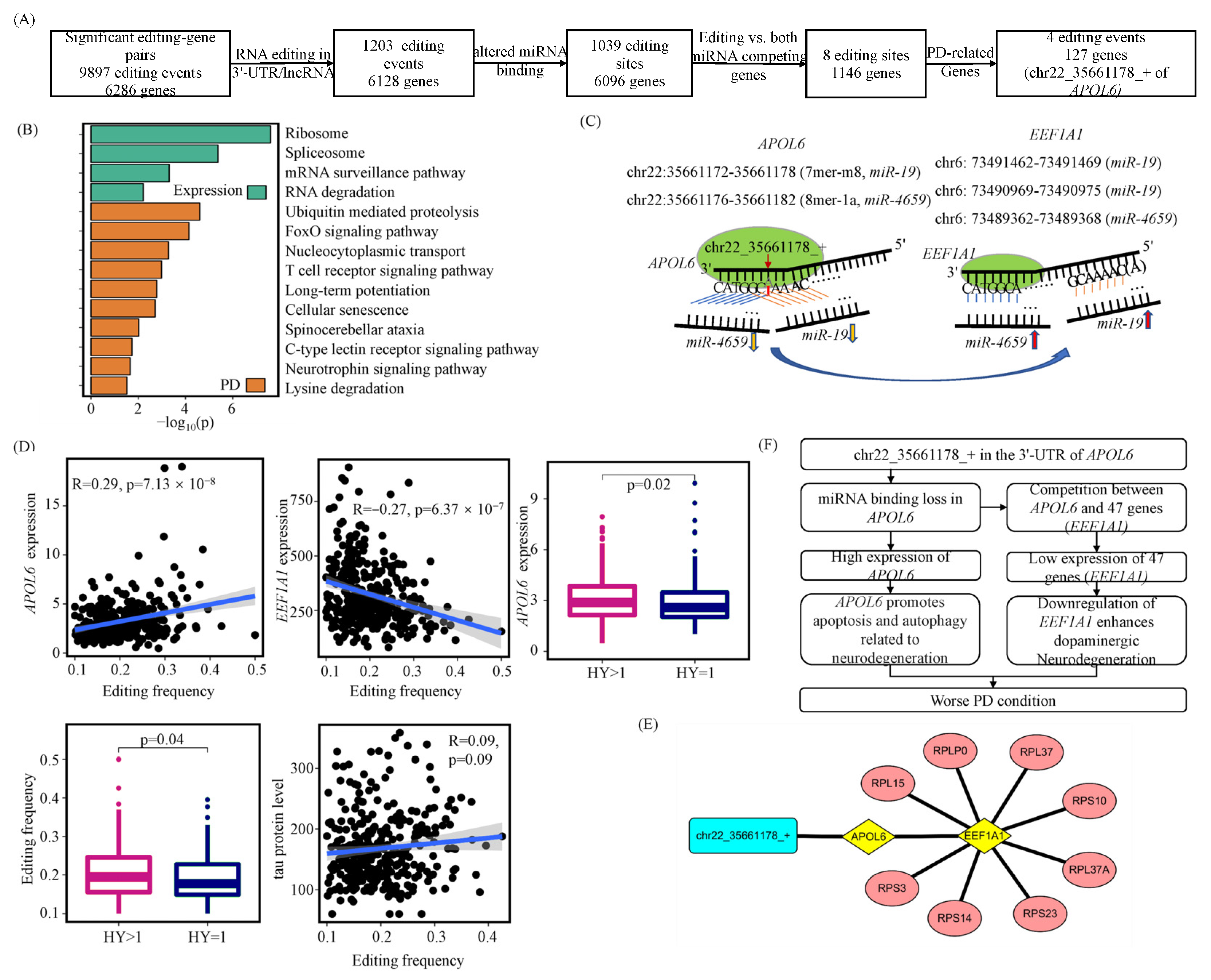 Genes 14 00919 g004 Genes 14 00919 g004