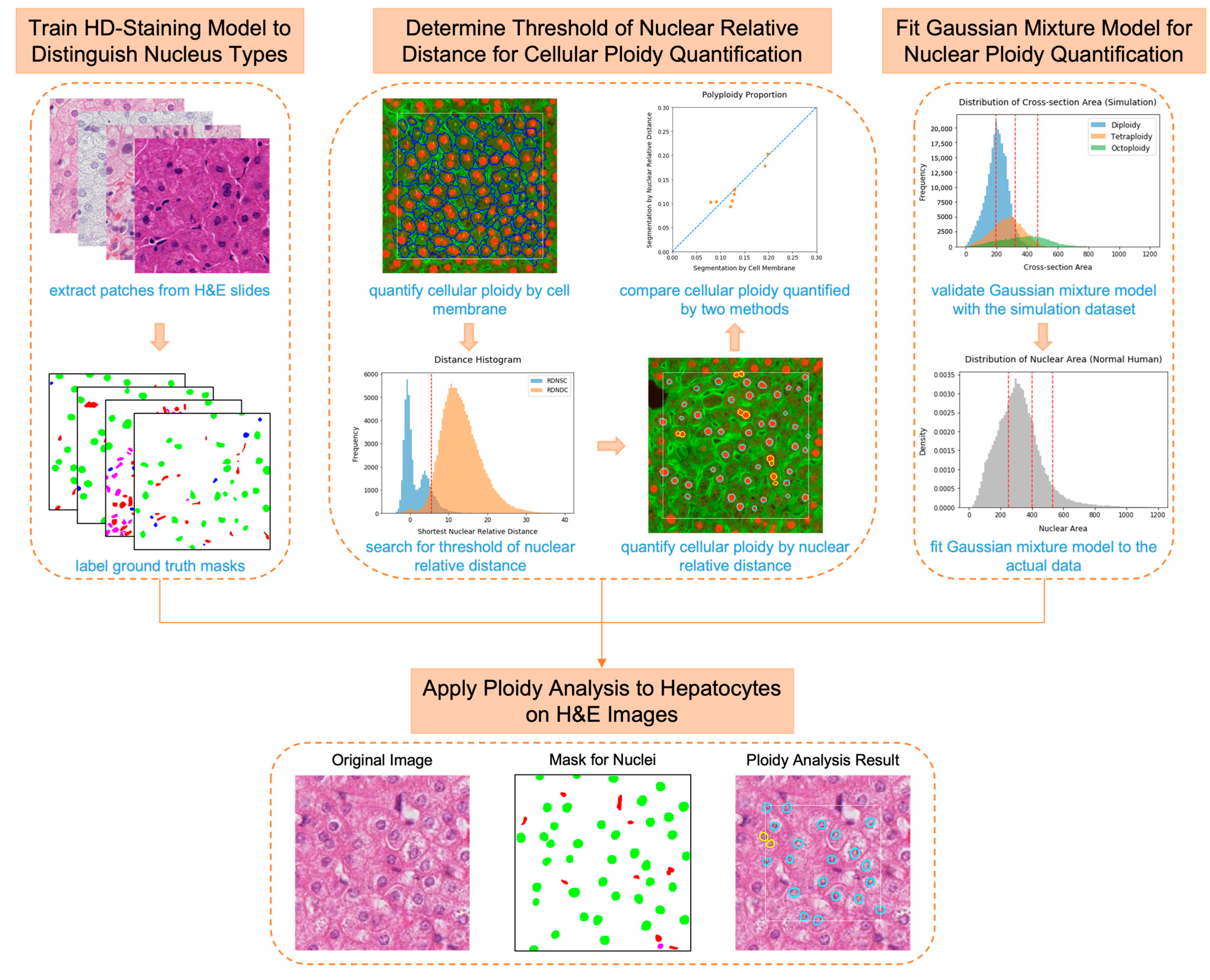 Genes 14 00921 g001 Genes 14 00921 g001