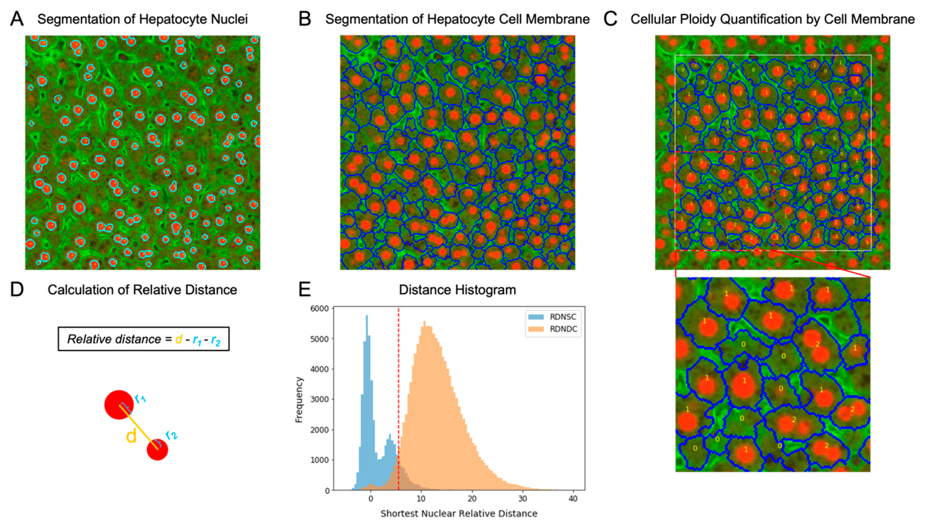 Genes 14 00921 g002 Genes 14 00921 g002
