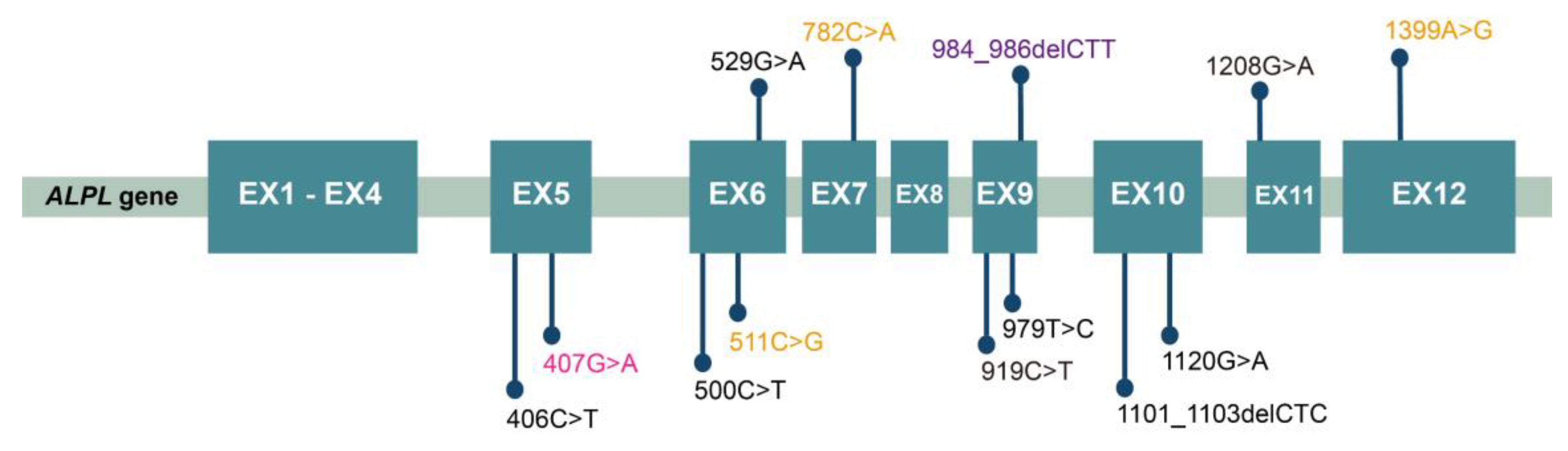 Genes 14 00922 g003 Genes 14 00922 g003