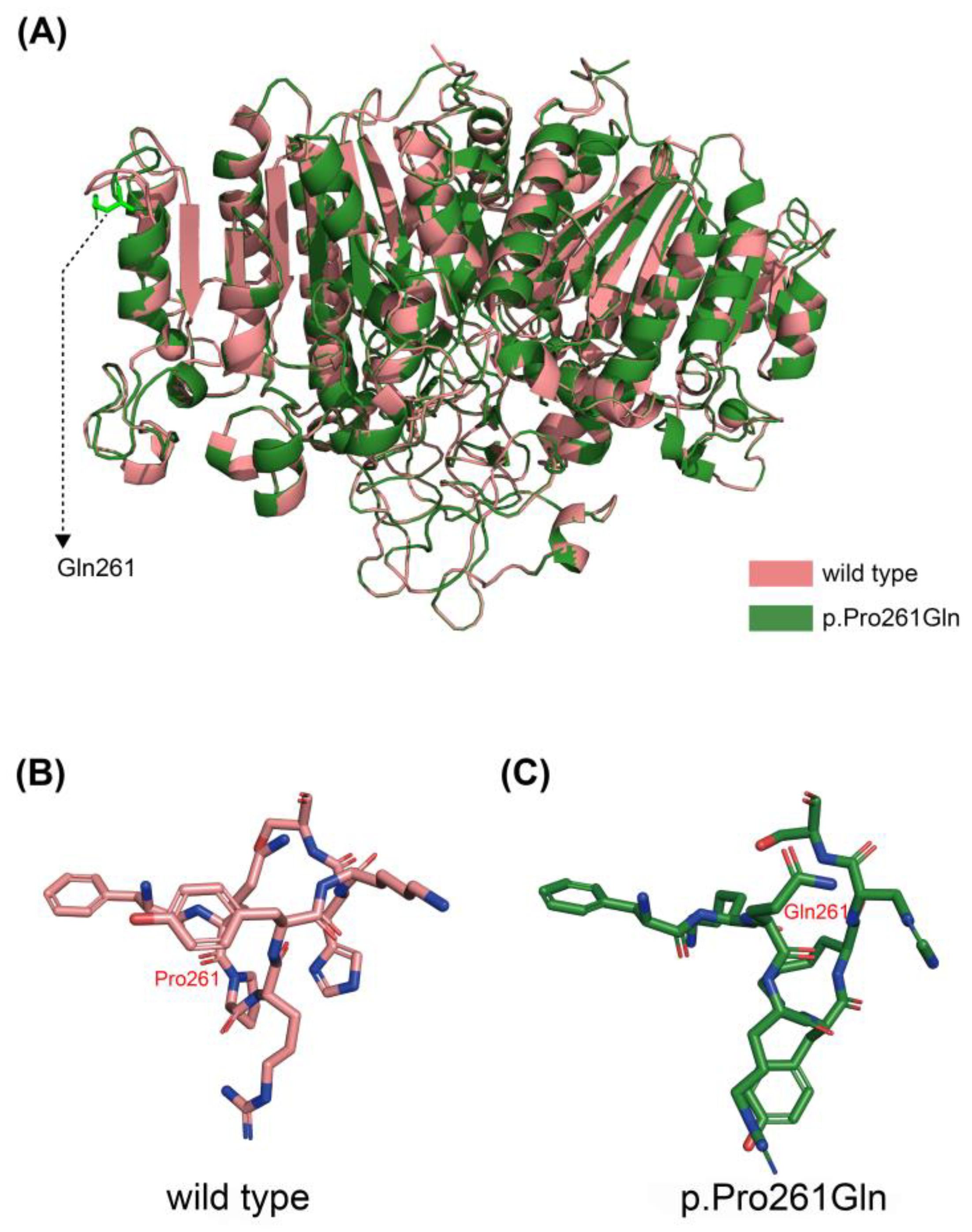Genes 14 00922 g005 Genes 14 00922 g005
