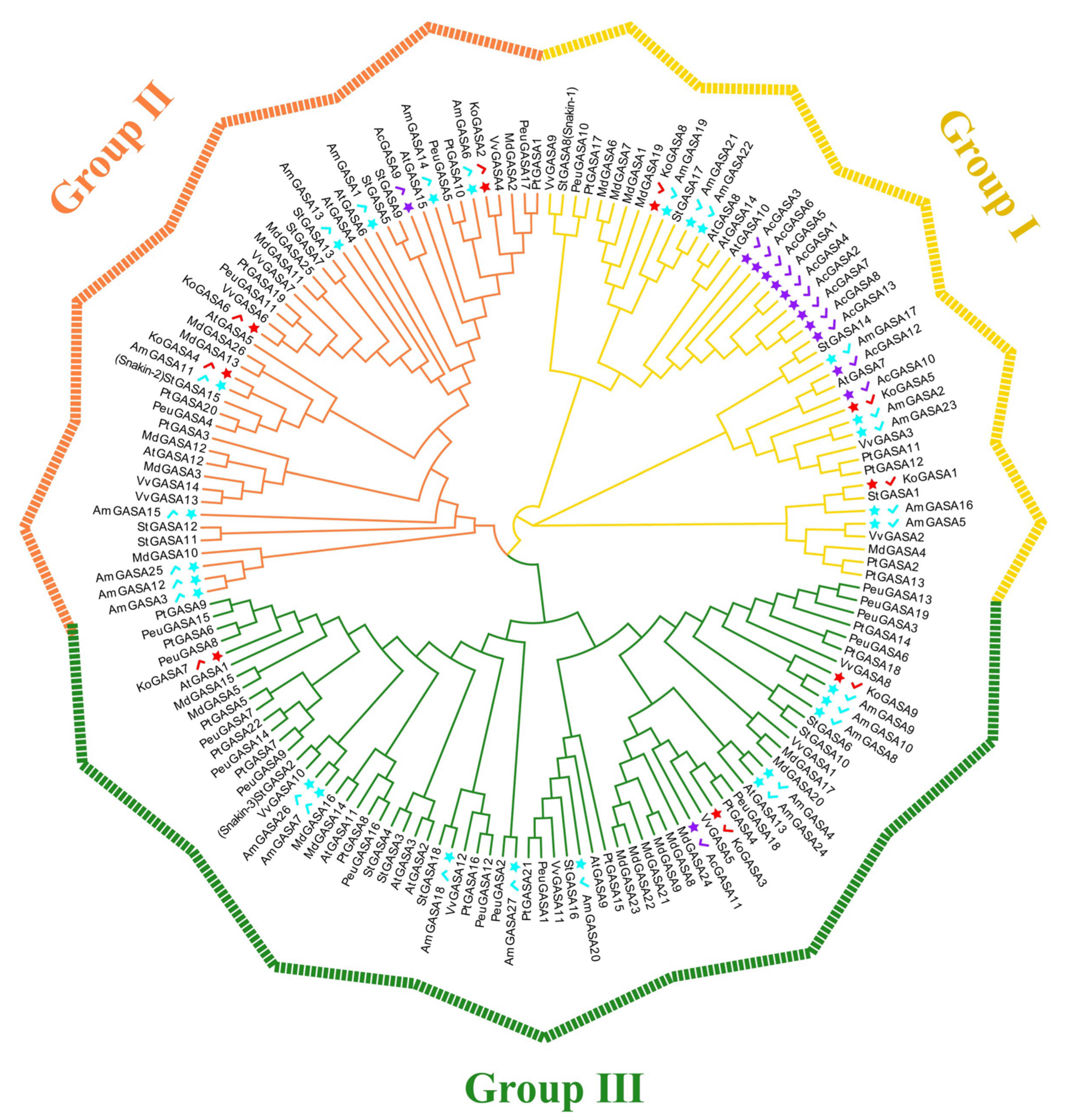 Genes 14 00923 g002 Genes 14 00923 g002