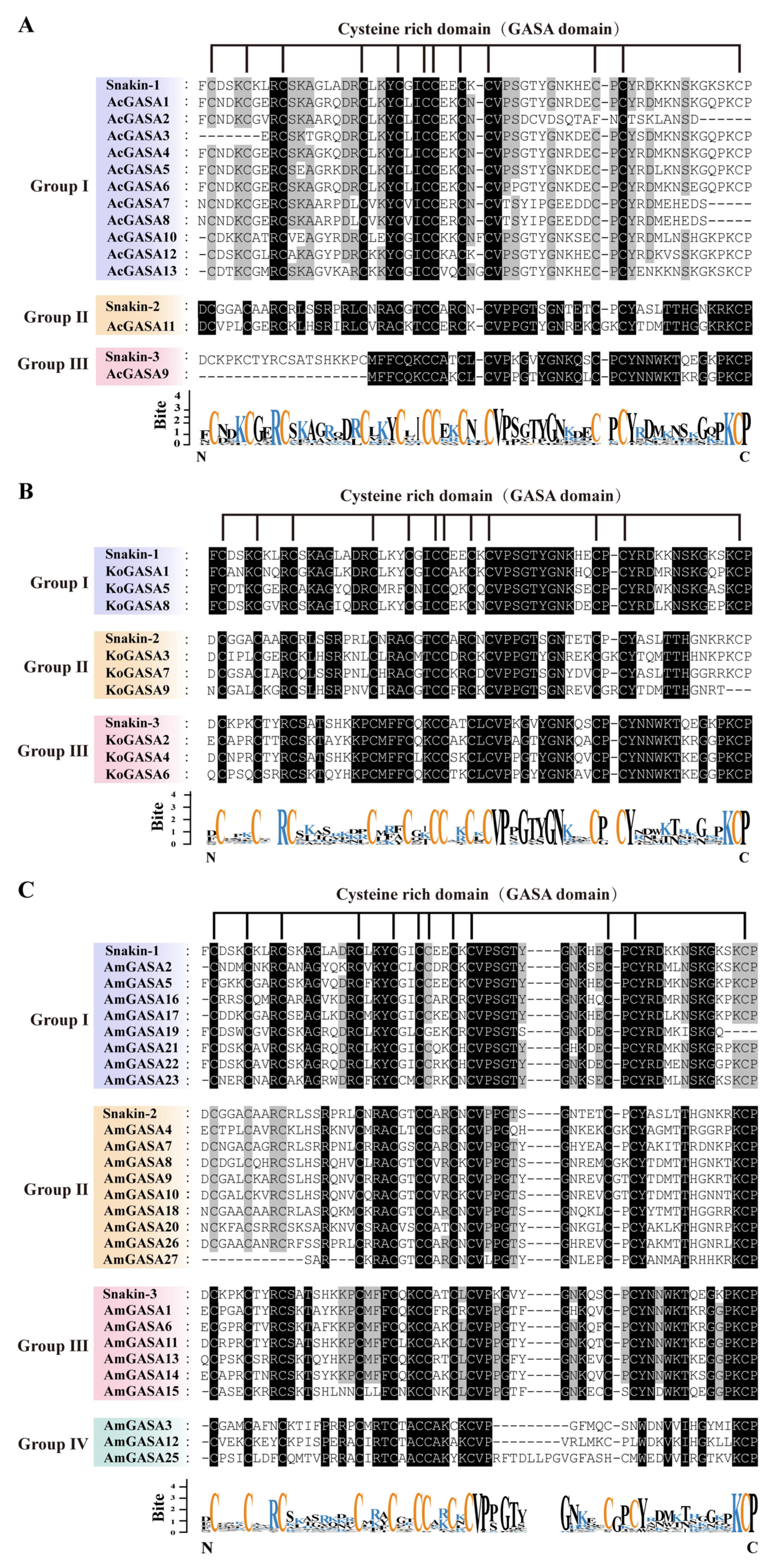 Genes 14 00923 g003 Genes 14 00923 g003